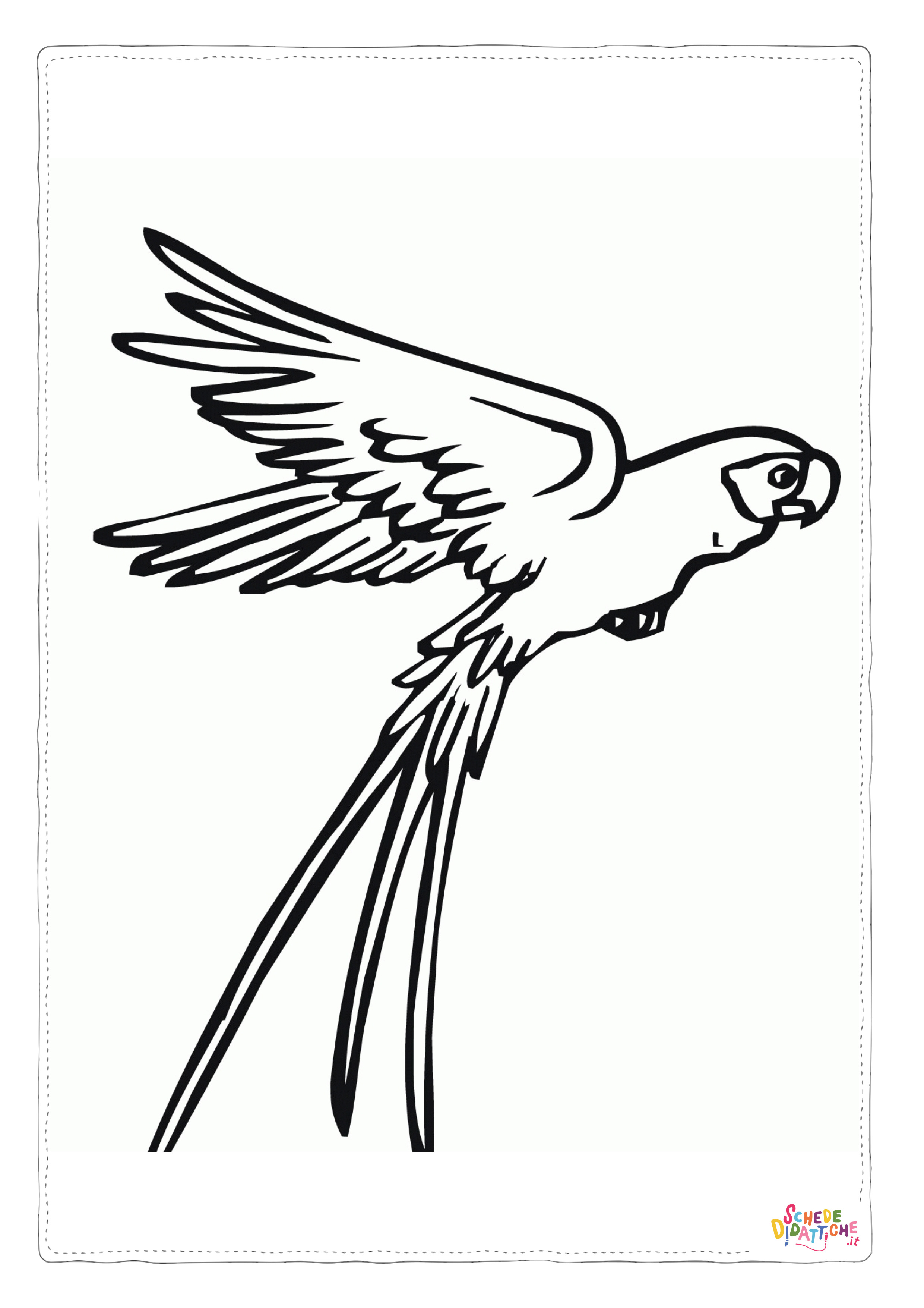 Disegno "Disegno di pappagallo da stampare e colorare 17" Disegno di pappagallo da stampare e colorare 17
