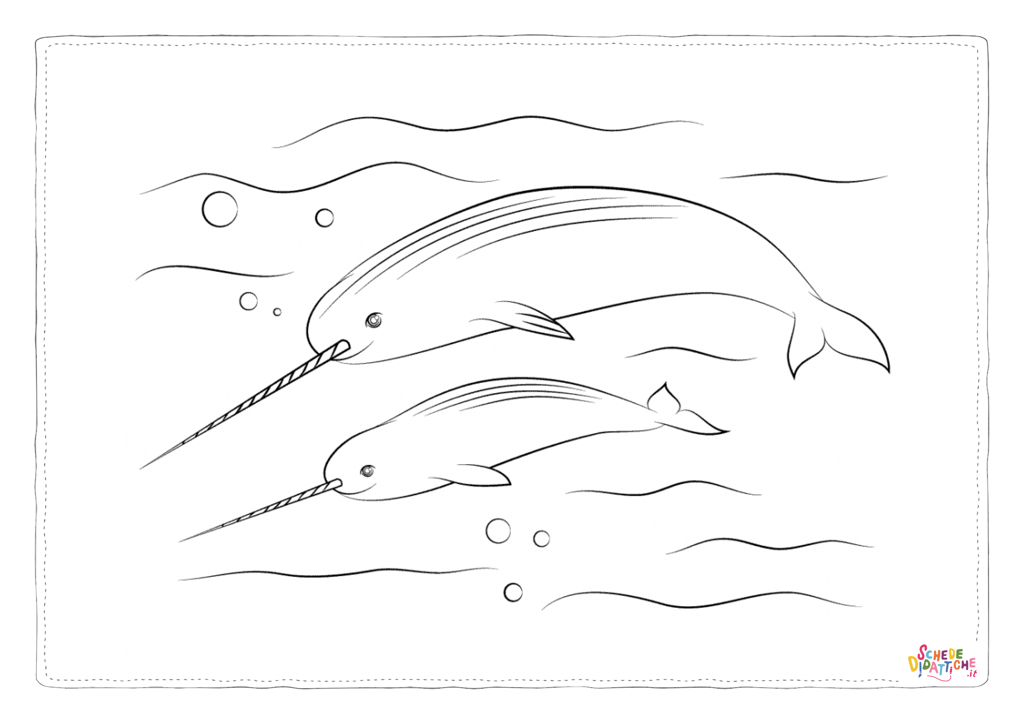 Disegno di narvalo da stampare e colorare 1