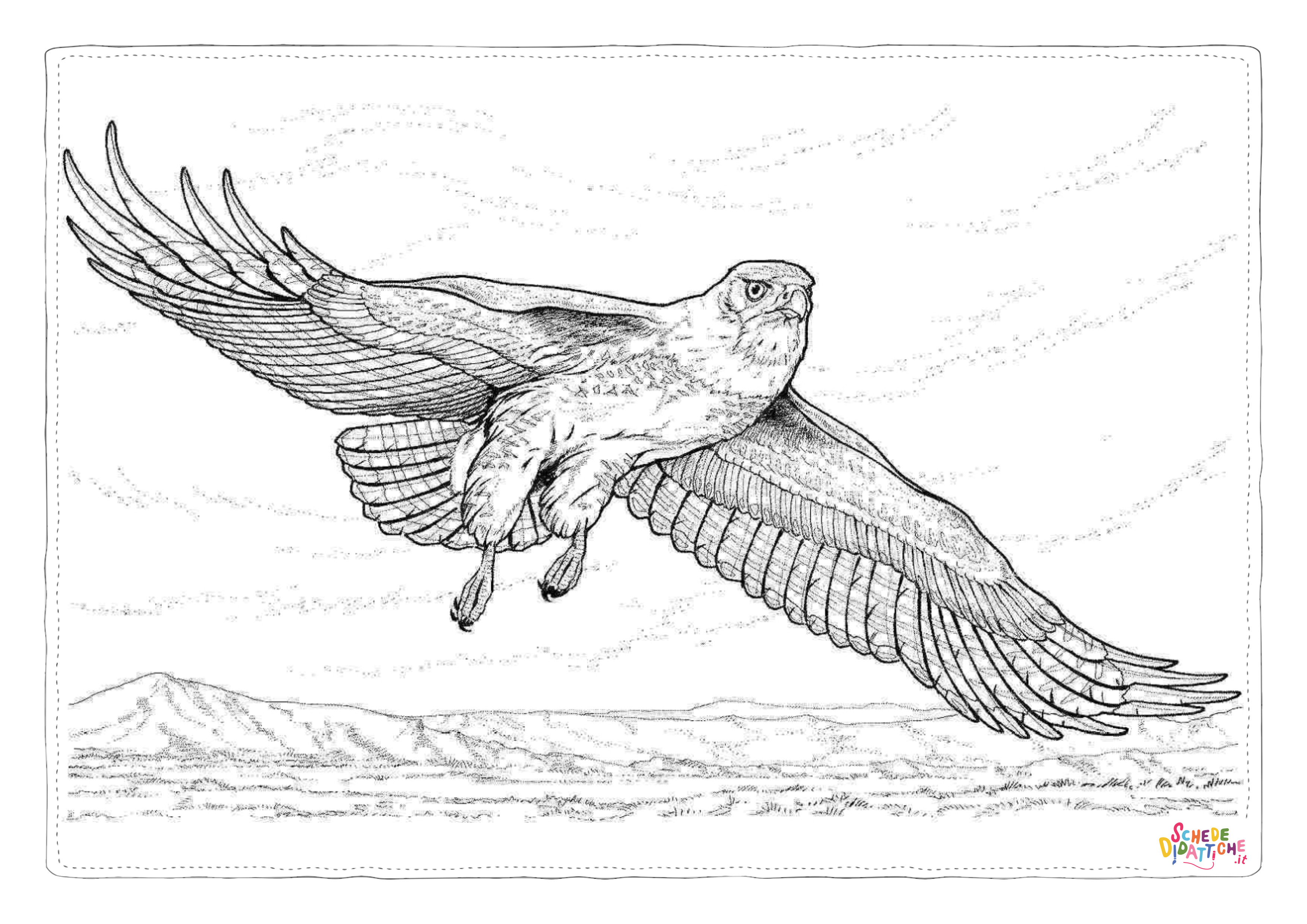 Disegno di falco da stampare e colorare 16