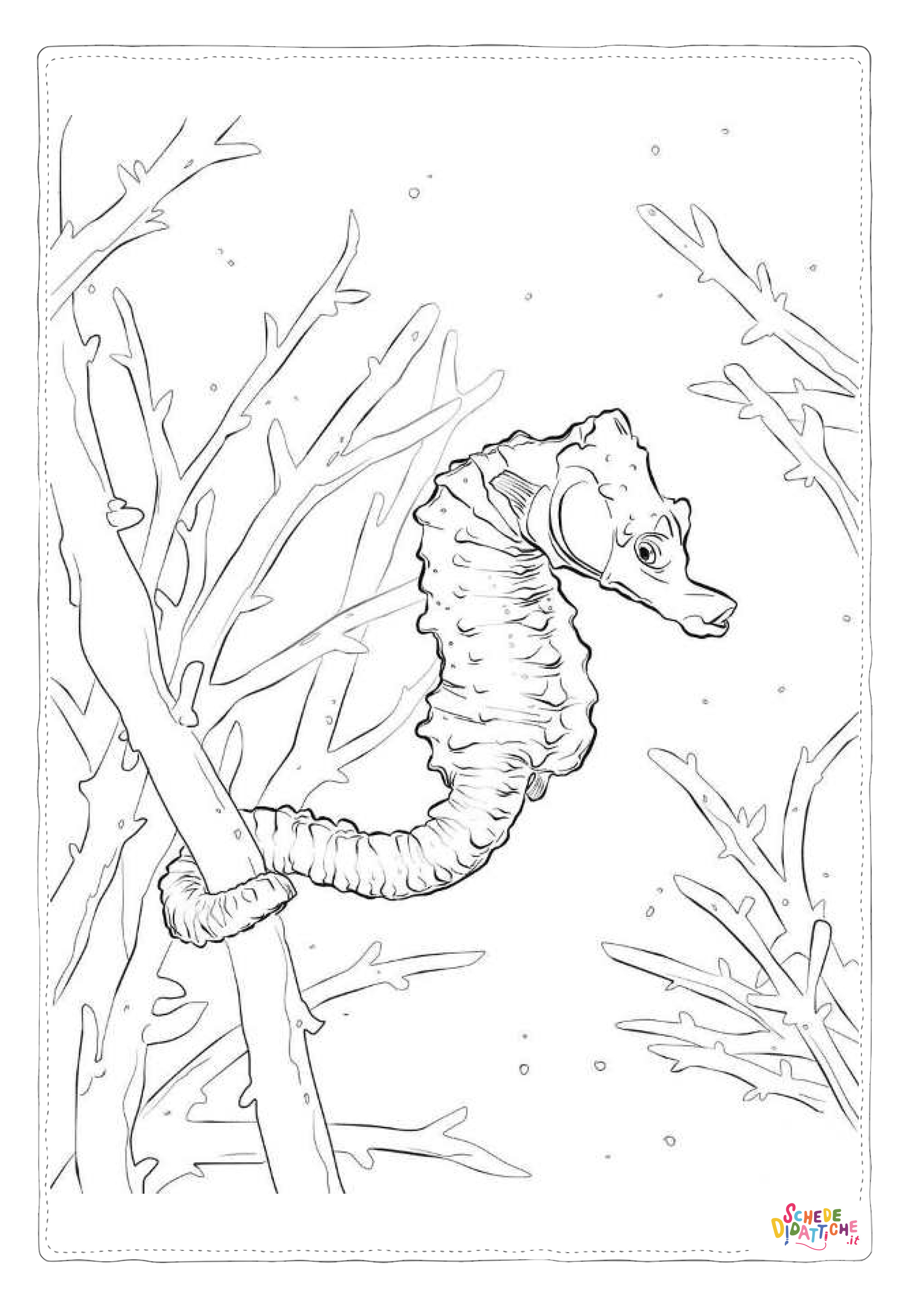 Disegno "Disegno di cavalluccio marino da stampare e colorare 22" Disegno di cavalluccio marino da stampare e colorare 22