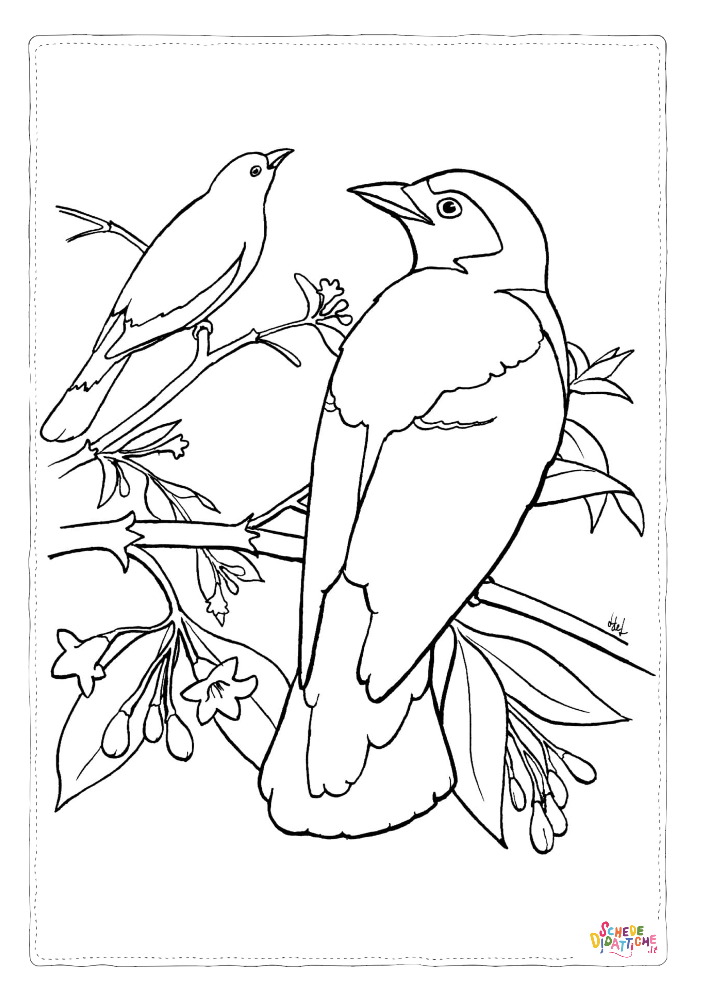 Disegno "Disegno di passero da stampare e colorare 118" Disegno di passero da stampare e colorare 118