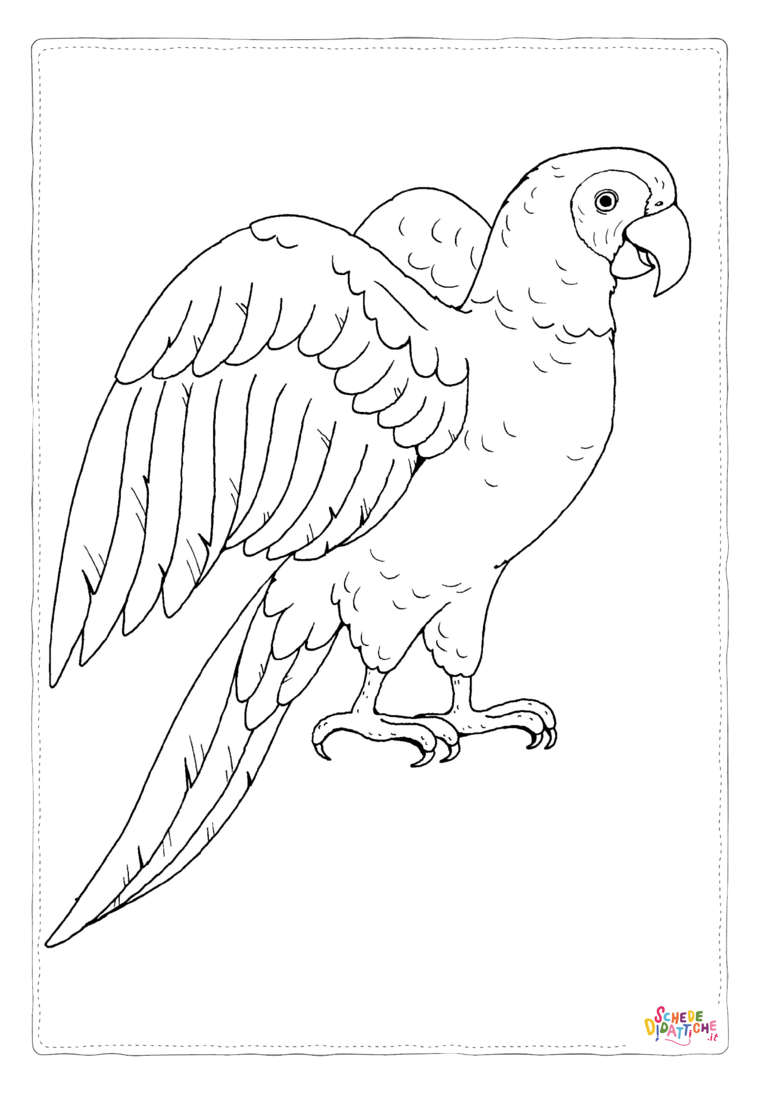 Disegno "Disegno di pappagallo da stampare e colorare 58" Disegno di pappagallo da stampare e colorare 58