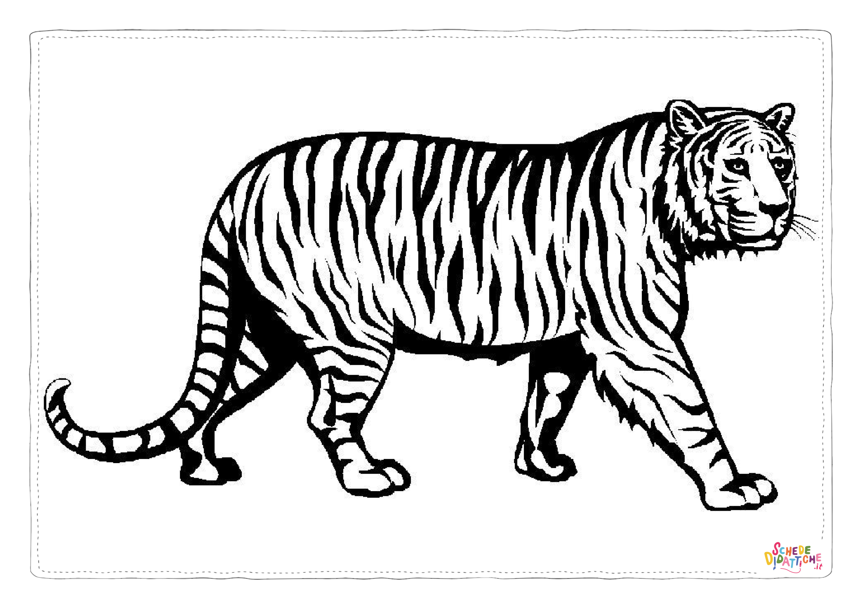 Disegno "Disegno di tigre da stampare e colorare 48" Disegno di tigre da stampare e colorare 48