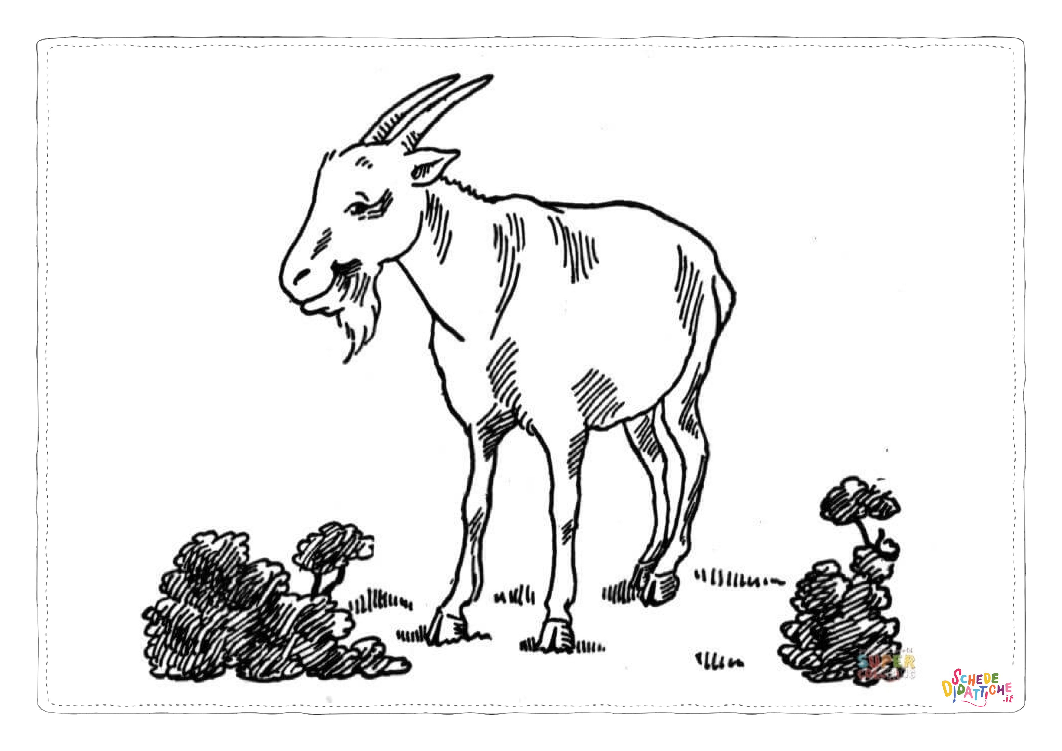 Disegno "Disegno di capra da stampare e colorare 15" Disegno di capra da stampare e colorare 15