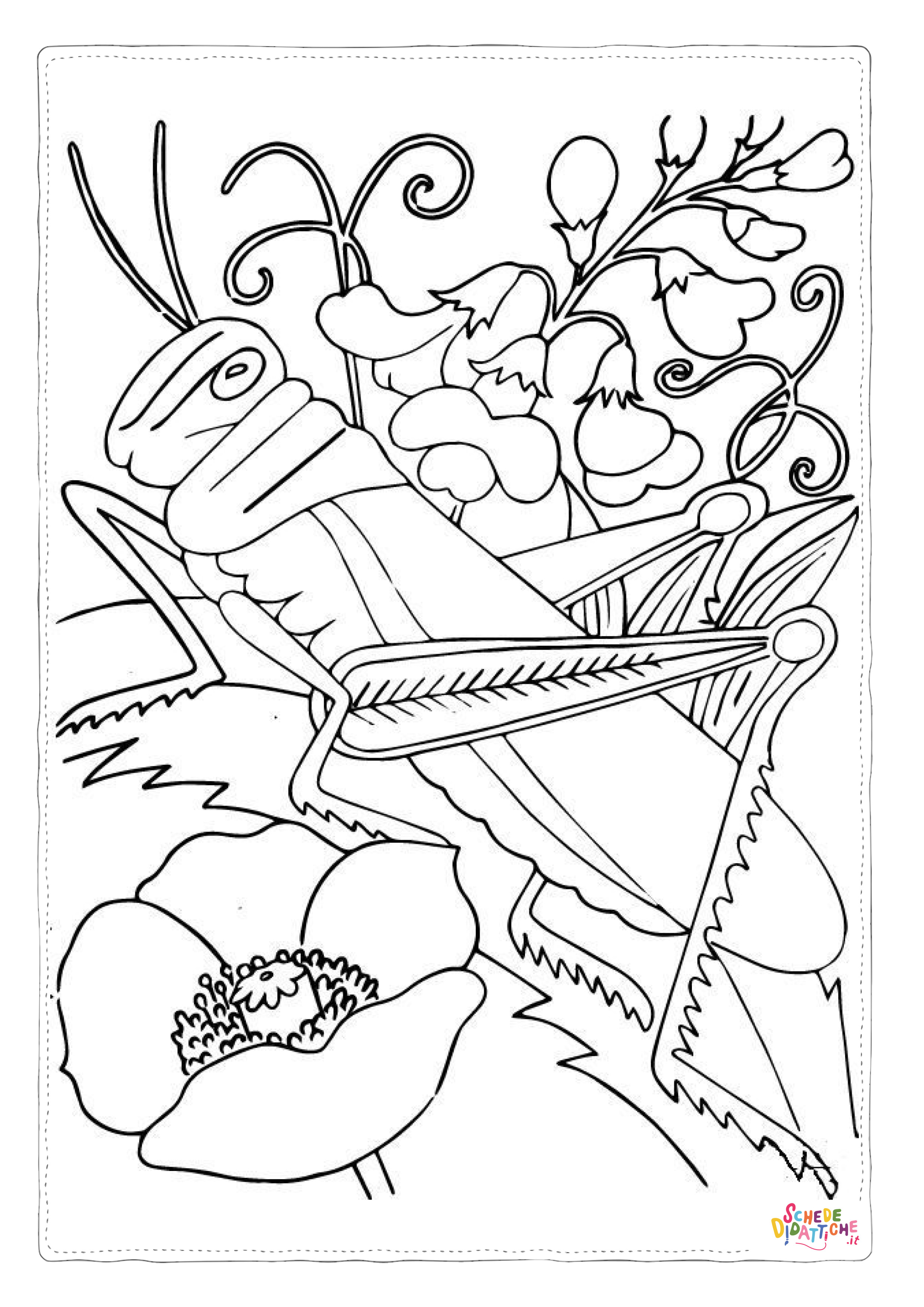 Disegno "Disegno di grillo da stampare e colorare 15" Disegno di grillo da stampare e colorare 15