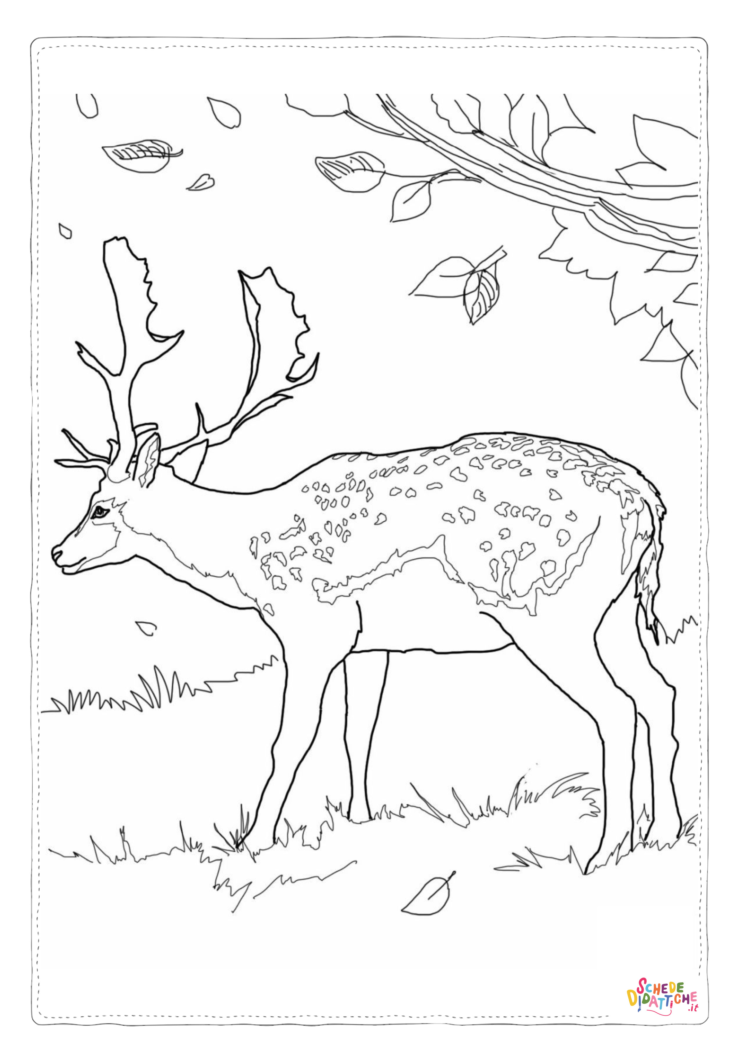 Disegno "Disegno di cervo da stampare e colorare 45" Disegno di cervo da stampare e colorare 45
