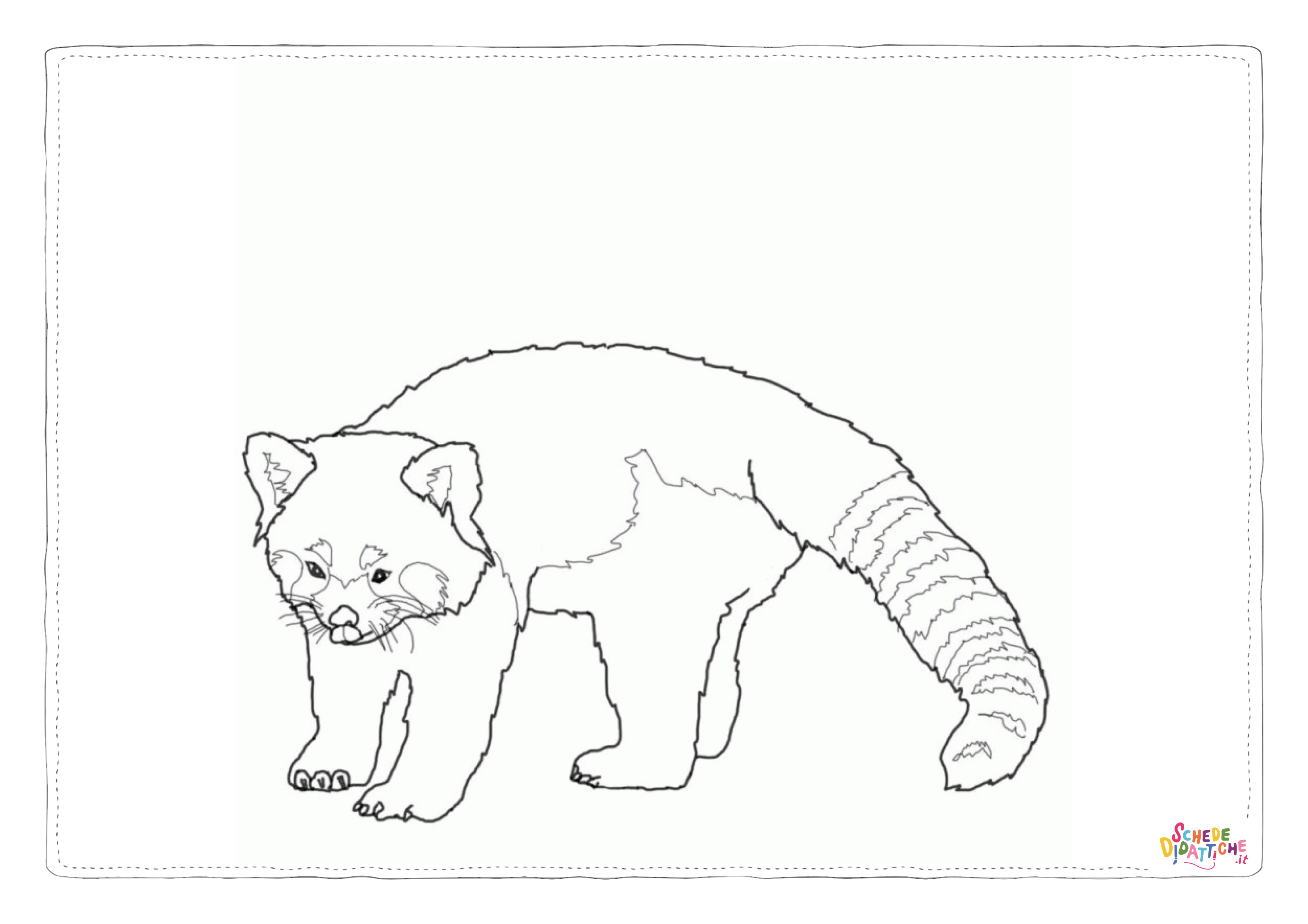 Disegno di procione da stampare e colorare 4