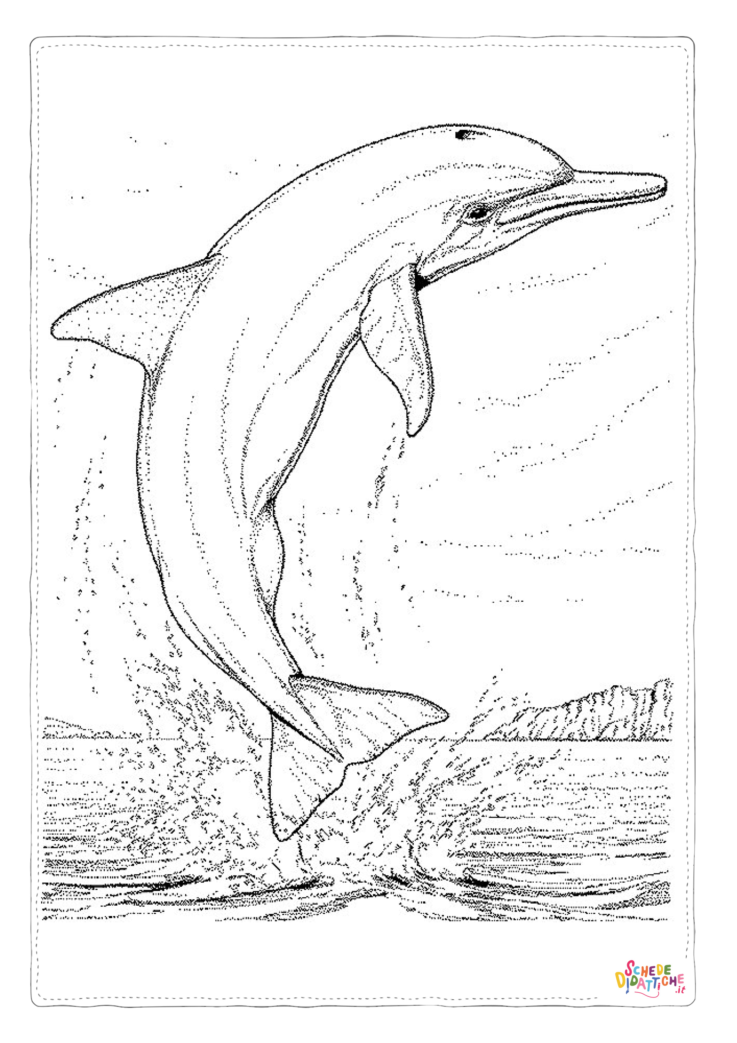 Disegno "Disegno di delfino da stampare e colorare 43" Disegno di delfino da stampare e colorare 43