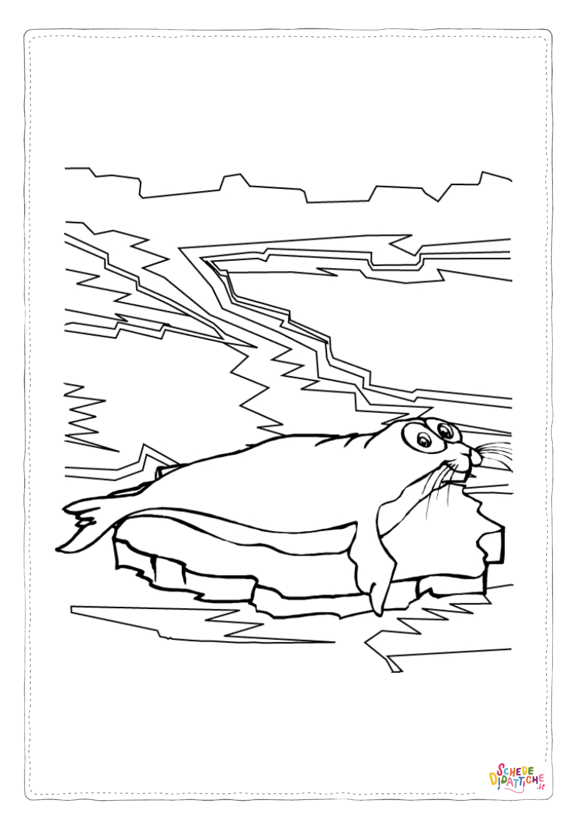 Disegno "Disegno di foca da stampare e colorare 15" Disegno di foca da stampare e colorare 15