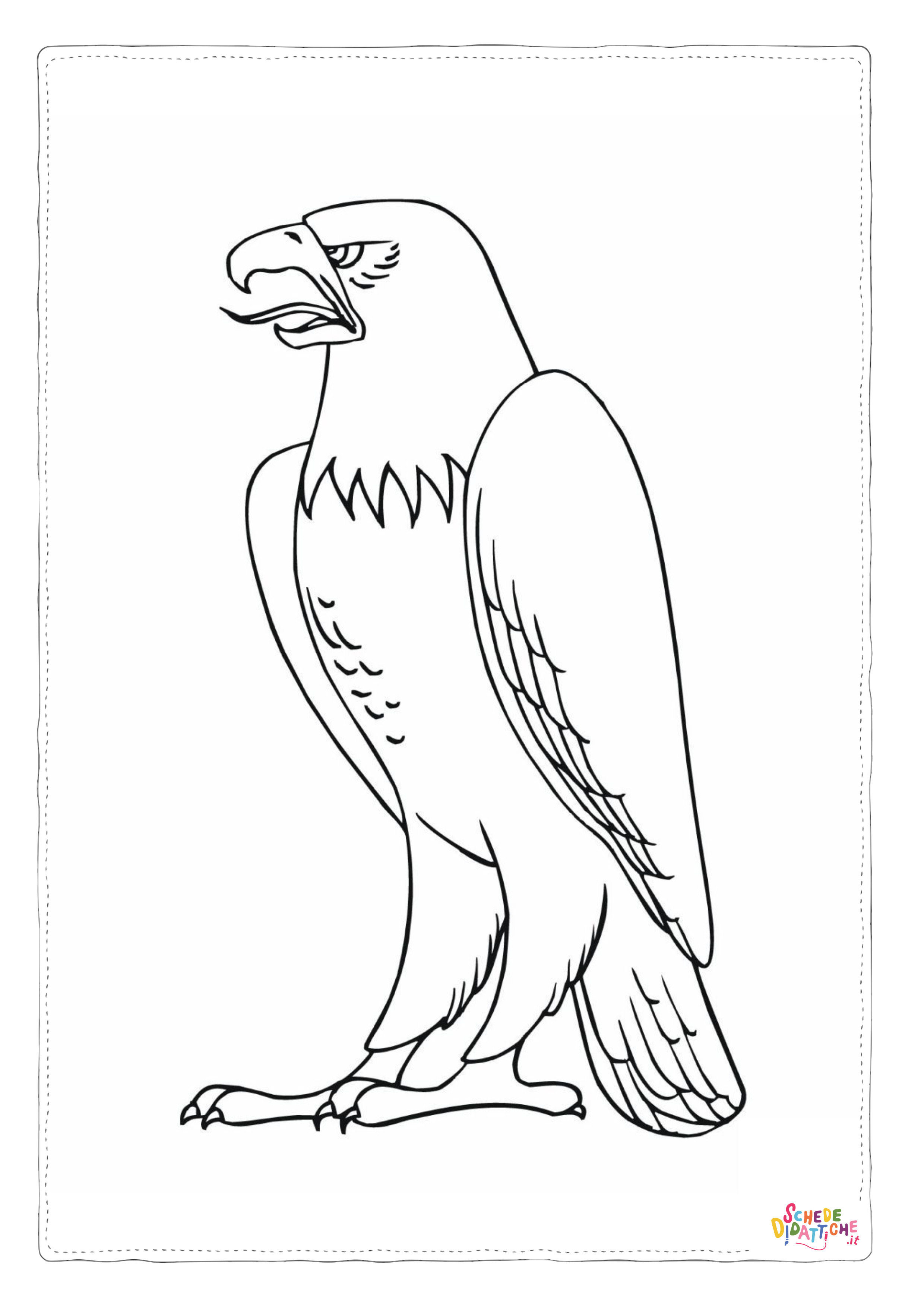Disegno di aquila da stampare e colorare 18