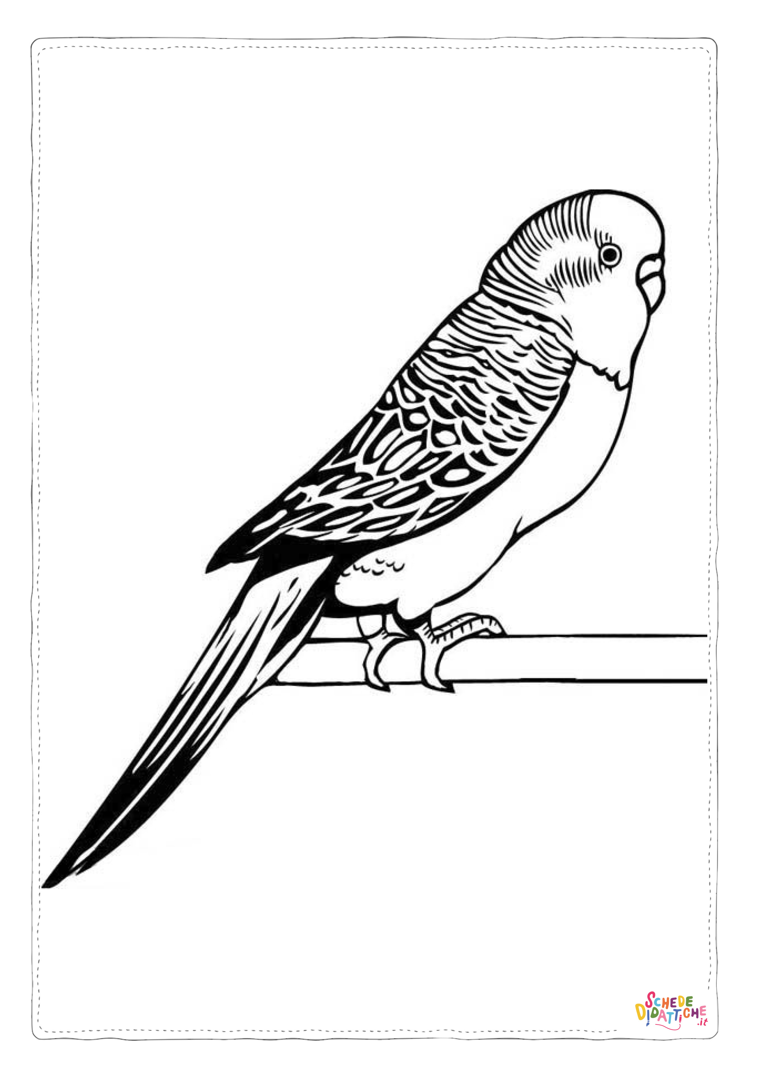 Disegno "Disegno di pappagallo da stampare e colorare 36" Disegno di pappagallo da stampare e colorare 36