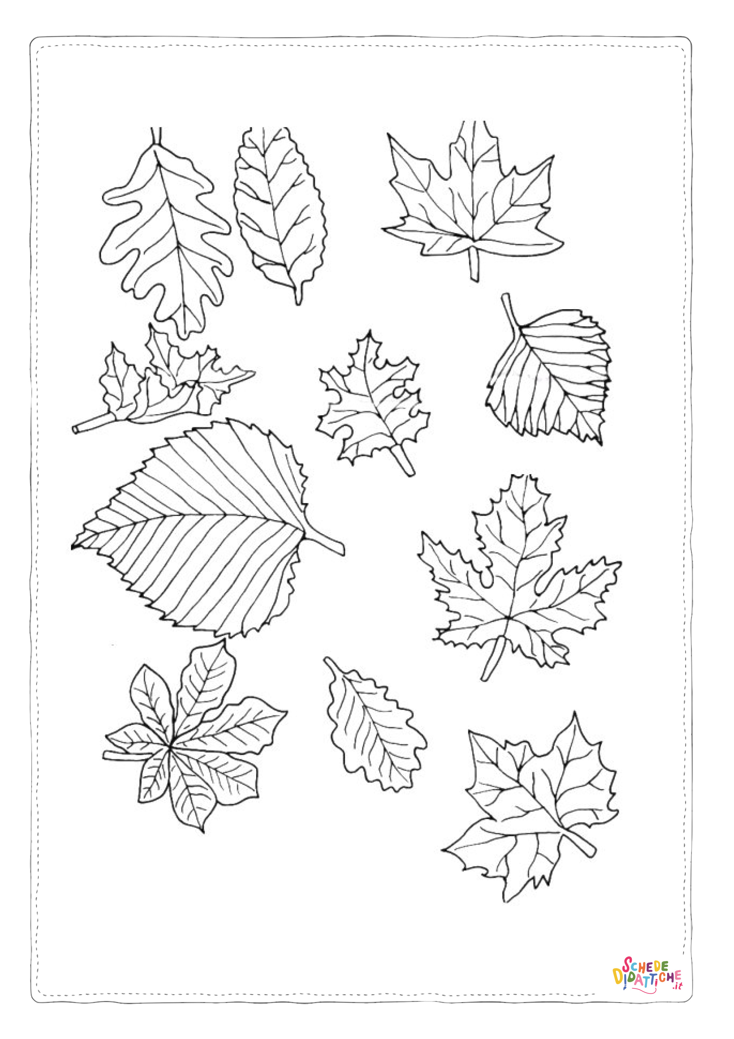 Disegno "Disegno di foglia da stampare e colorare 146" Disegno di foglia da stampare e colorare 146