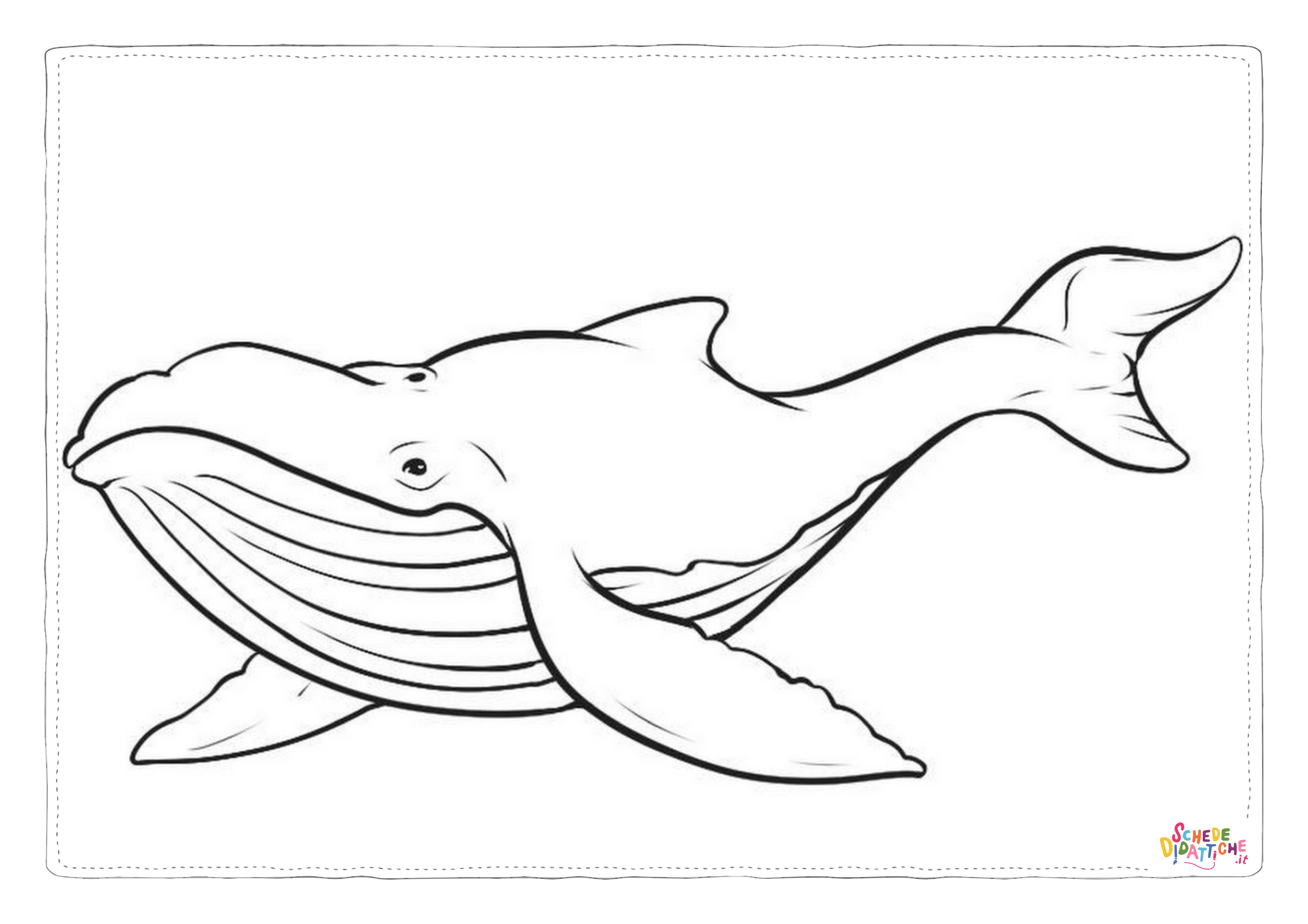 Disegno "Disegno di balena da stampare e colorare 22" Disegno di balena da stampare e colorare 22