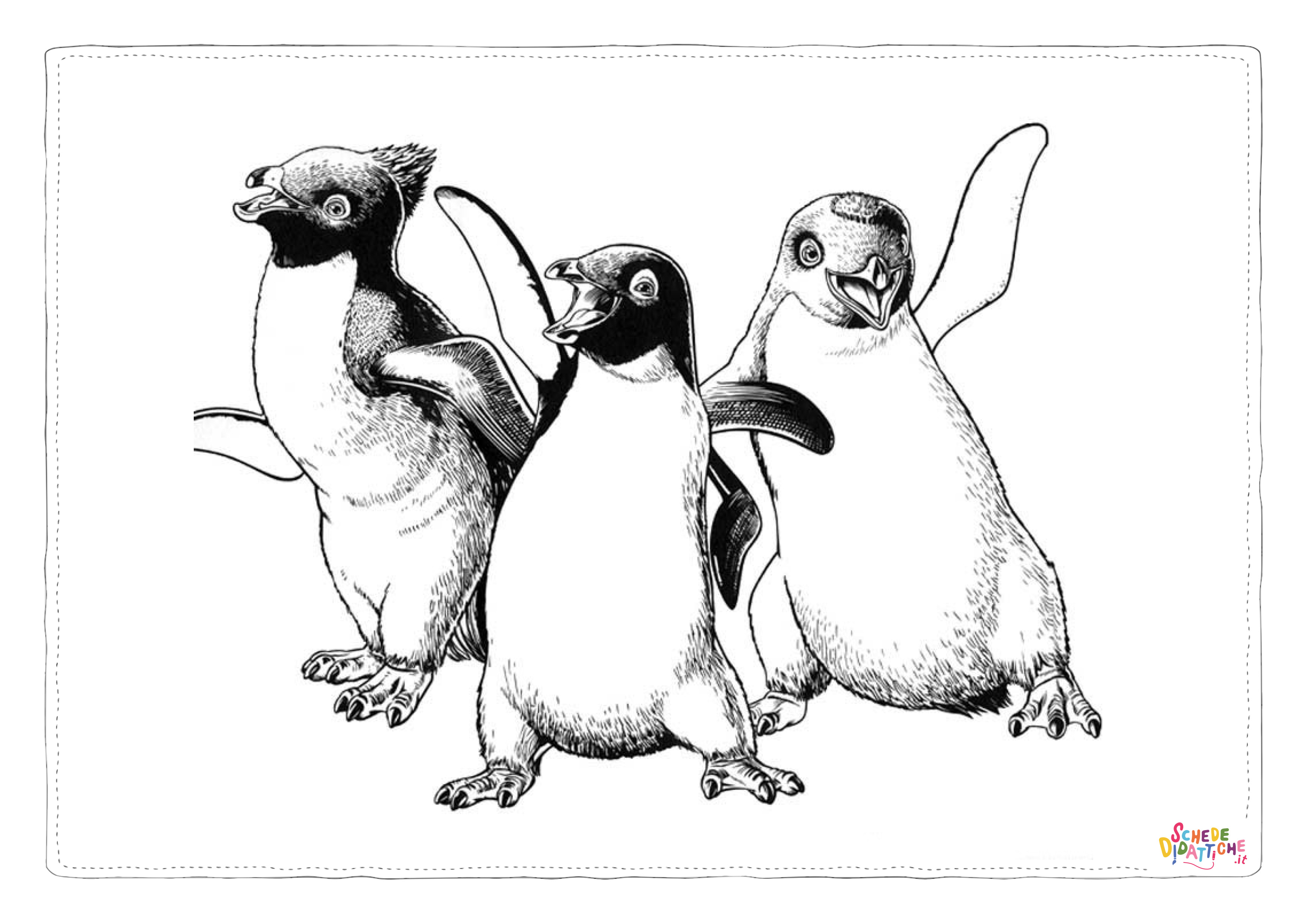 Disegno di pinguino da stampare e colorare 36