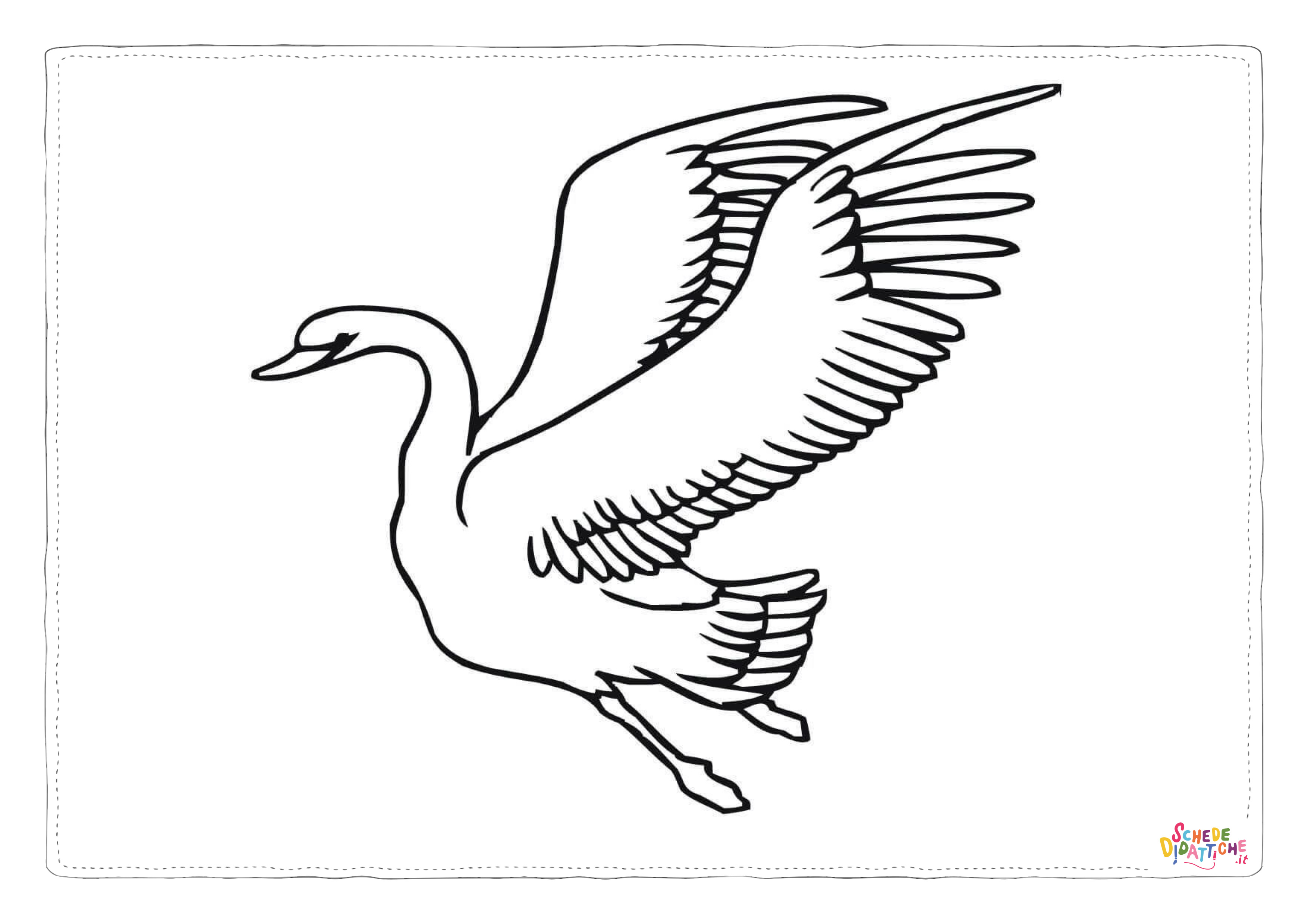 Disegno di cigno da stampare e colorare 17