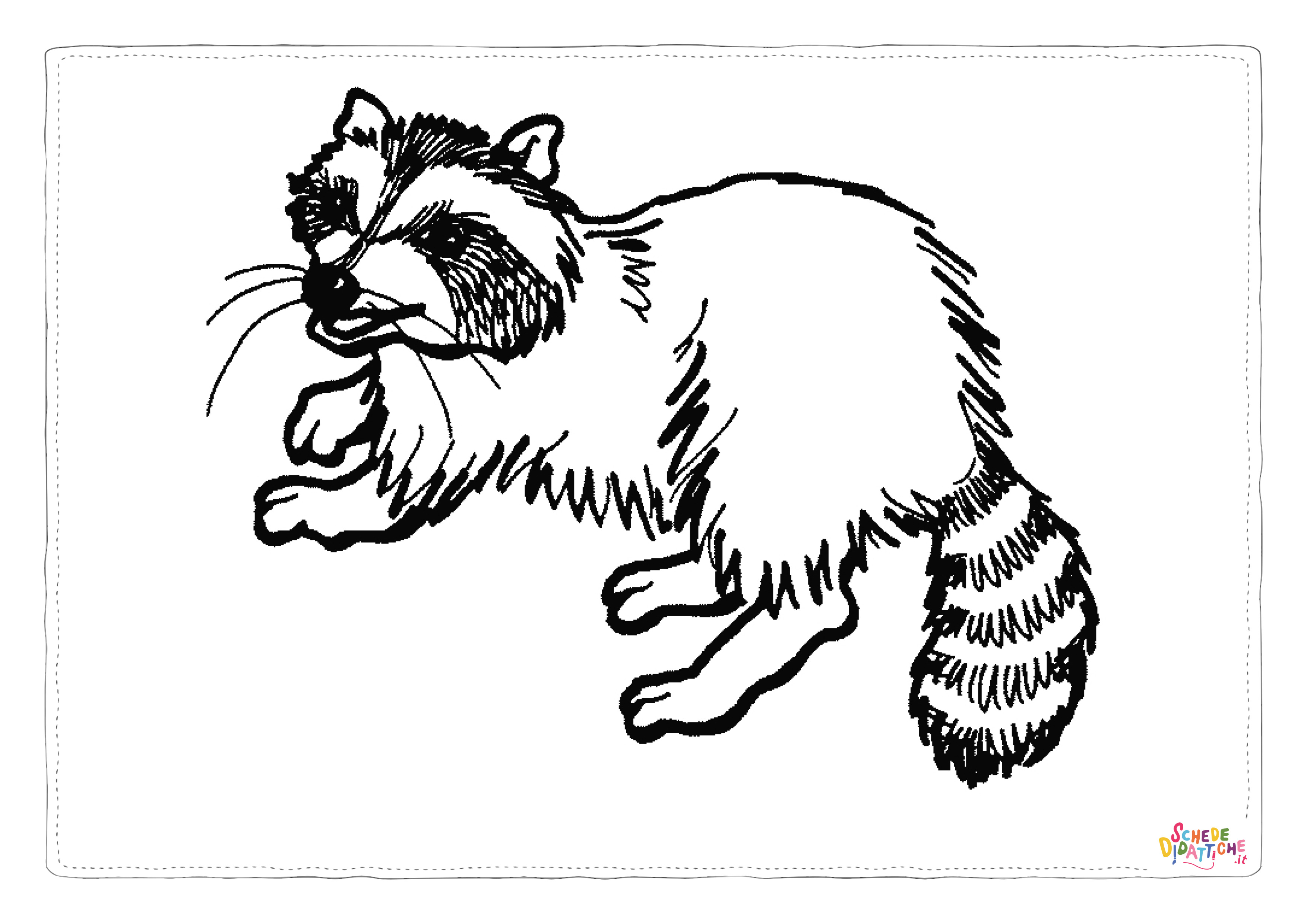 Disegno di procione da stampare e colorare 8