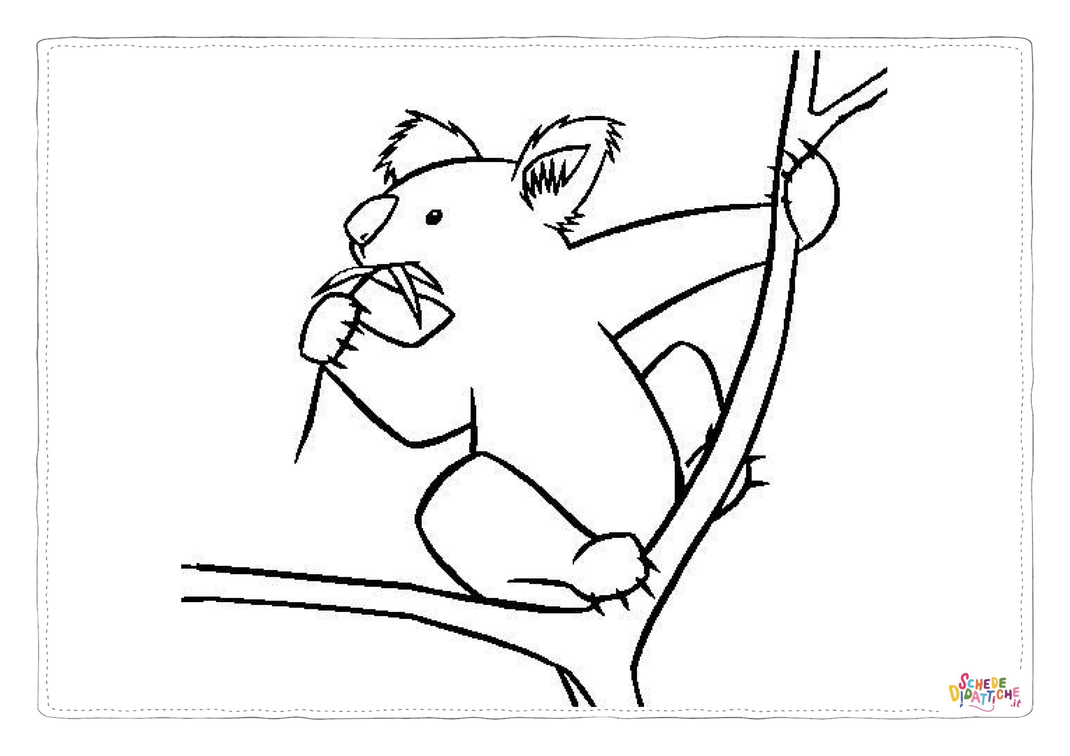 Disegno "Disegno di koala da stampare e colorare 31" Disegno di koala da stampare e colorare 31