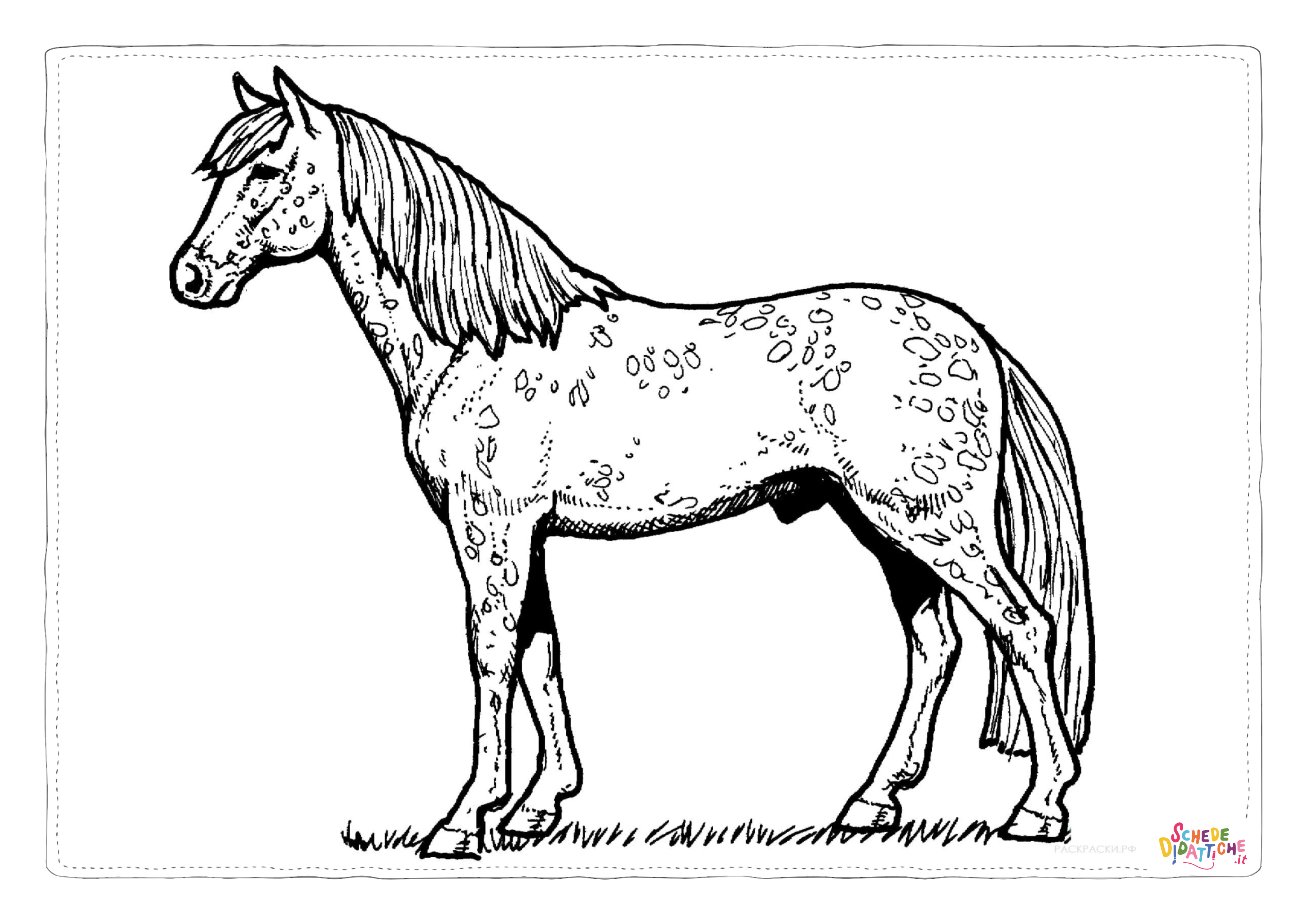 Disegno "Disegno di cavallo da stampare e colorare 154" Disegno di cavallo da stampare e colorare 154