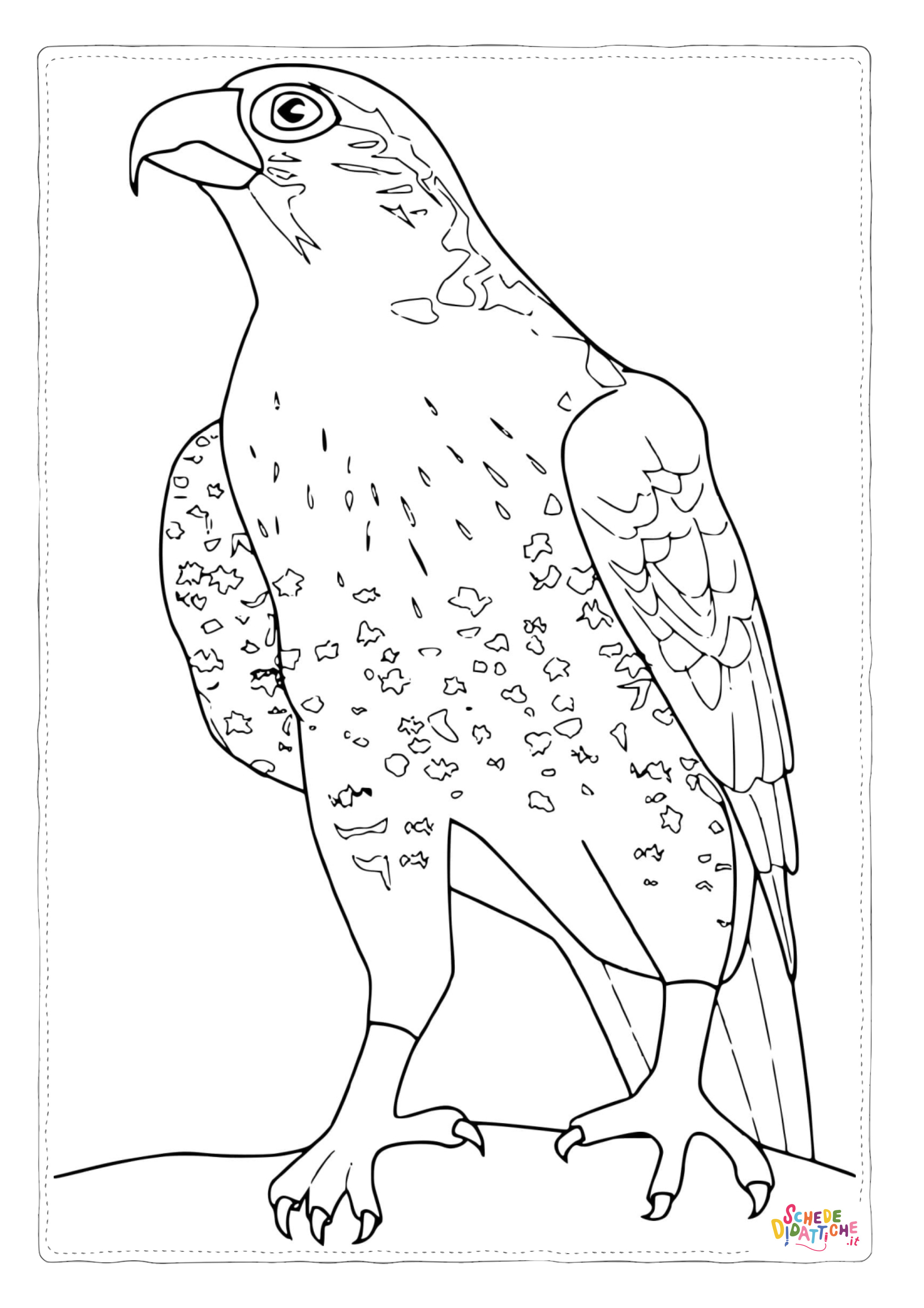 Disegno "Disegno di falco da stampare e colorare 4" Disegno di falco da stampare e colorare 4