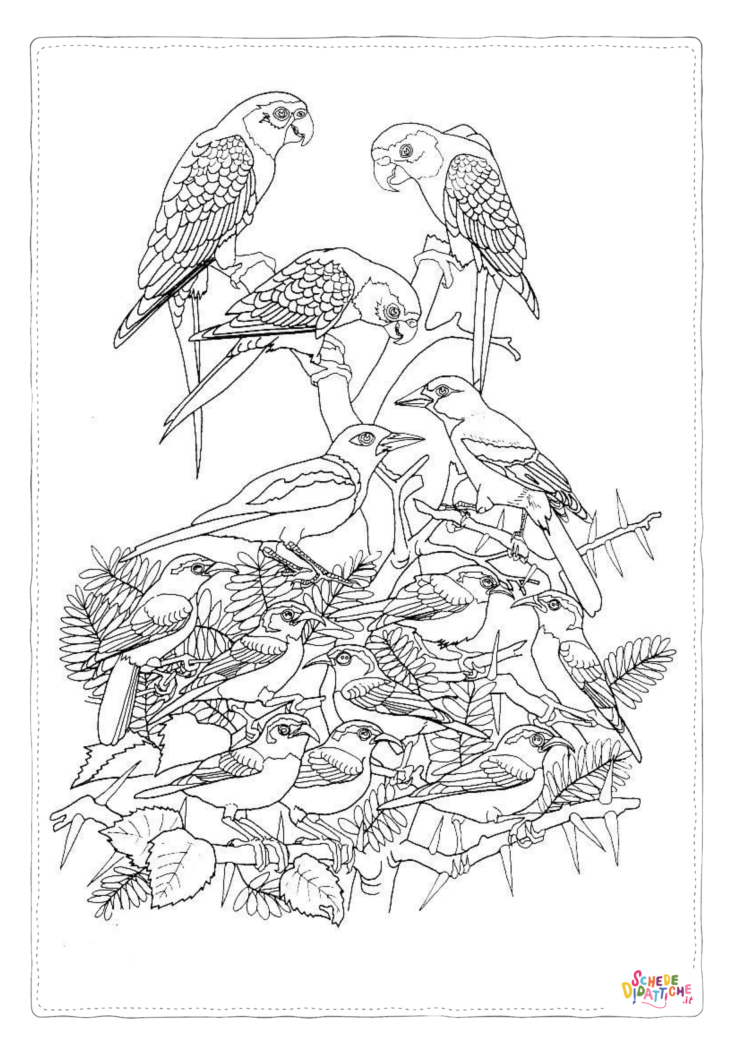 Disegno "Disegno di uccello da stampare e colorare 70" Disegno di uccello da stampare e colorare 70