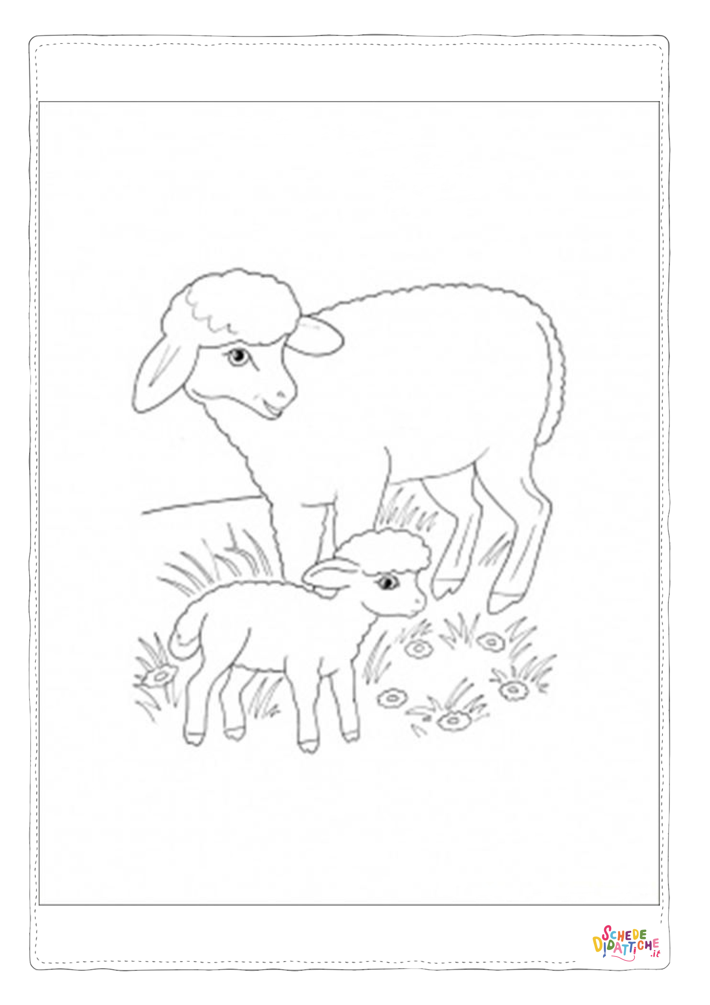 Disegno "Disegno di pecora da stampare e colorare 69" Disegno di pecora da stampare e colorare 69