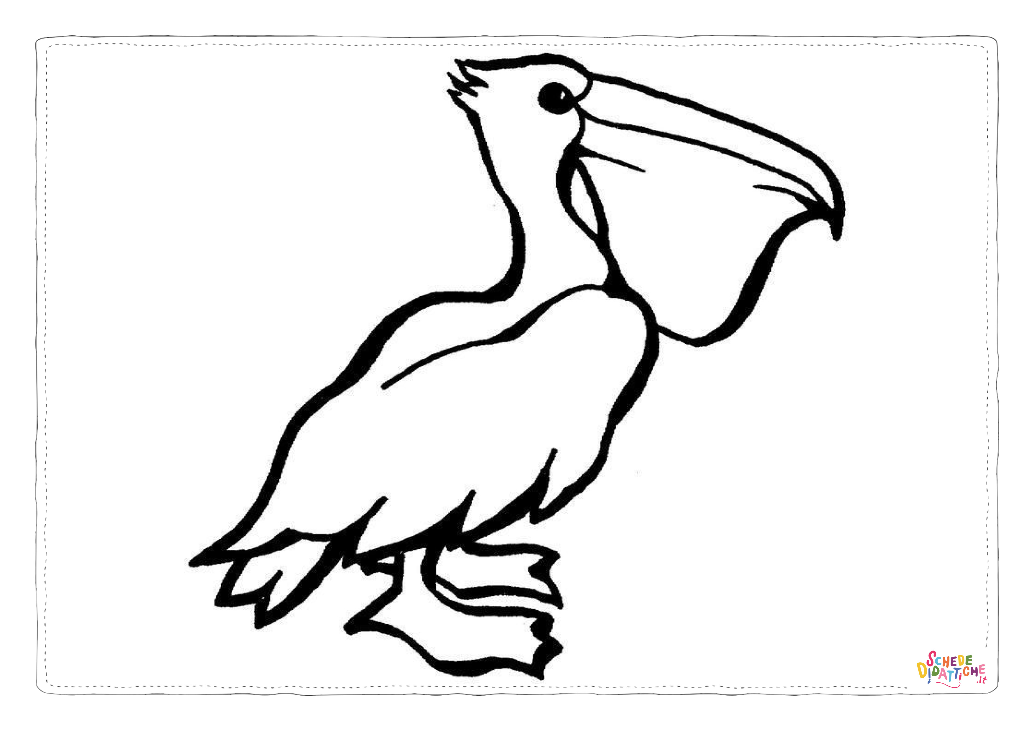 Disegno "Disegno di pellicano da stampare e colorare 7" Disegno di pellicano da stampare e colorare 7