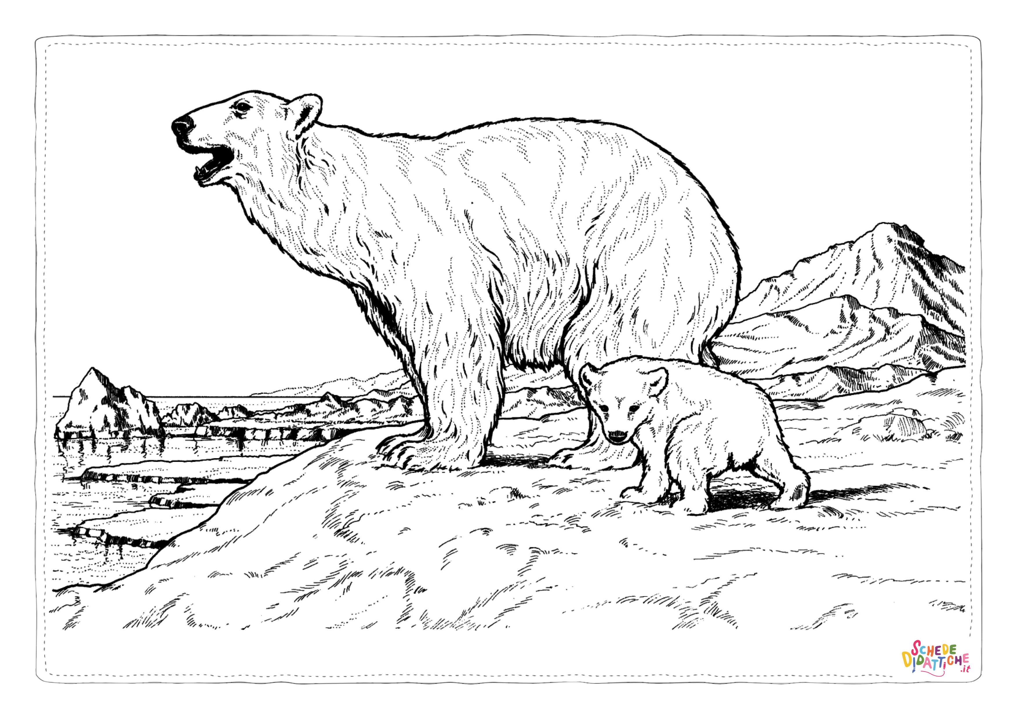 Disegno "Disegno di orso polare da stampare e colorare 17" Disegno di orso polare da stampare e colorare 17