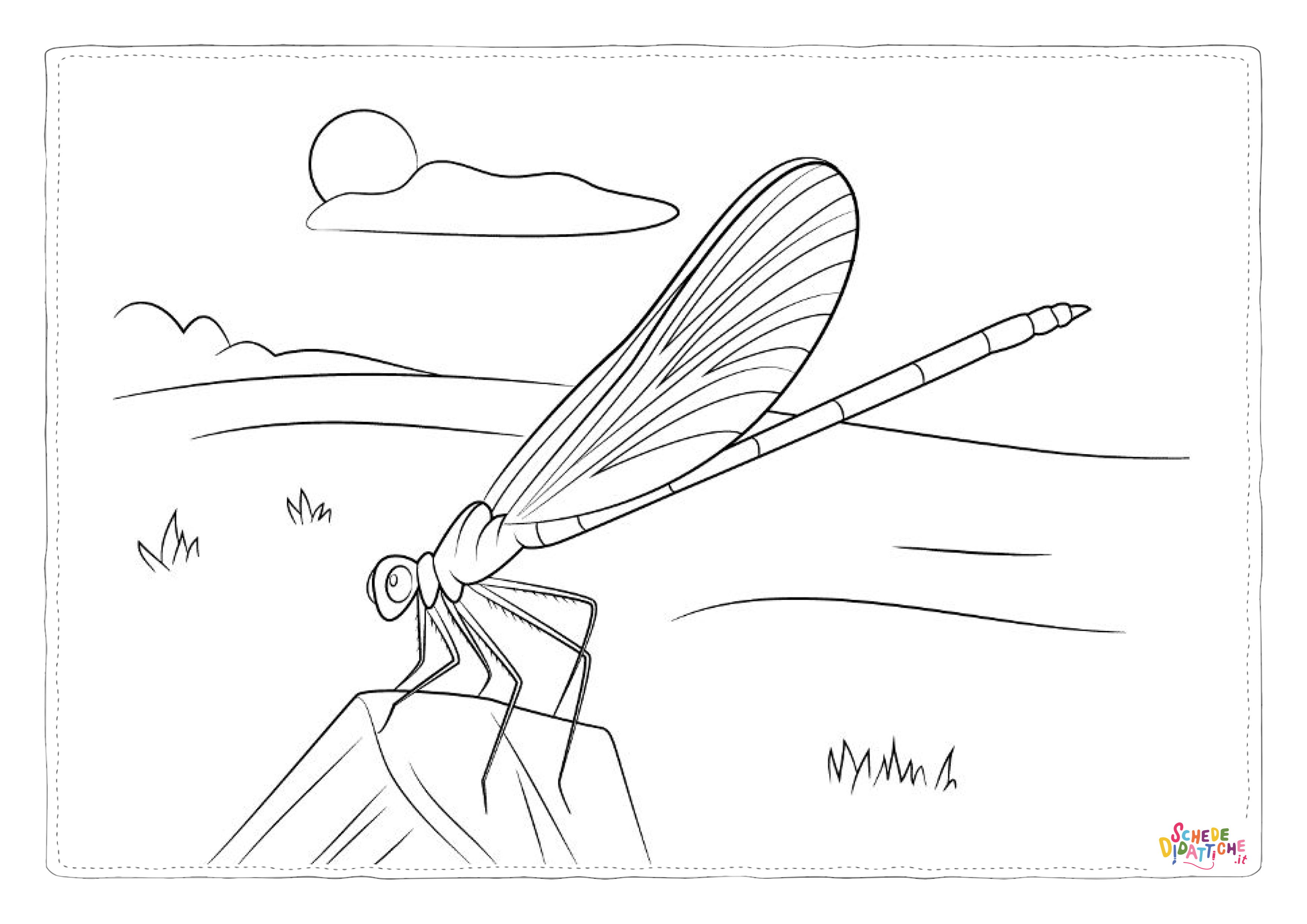 Disegno di libellula da stampare e colorare 9
