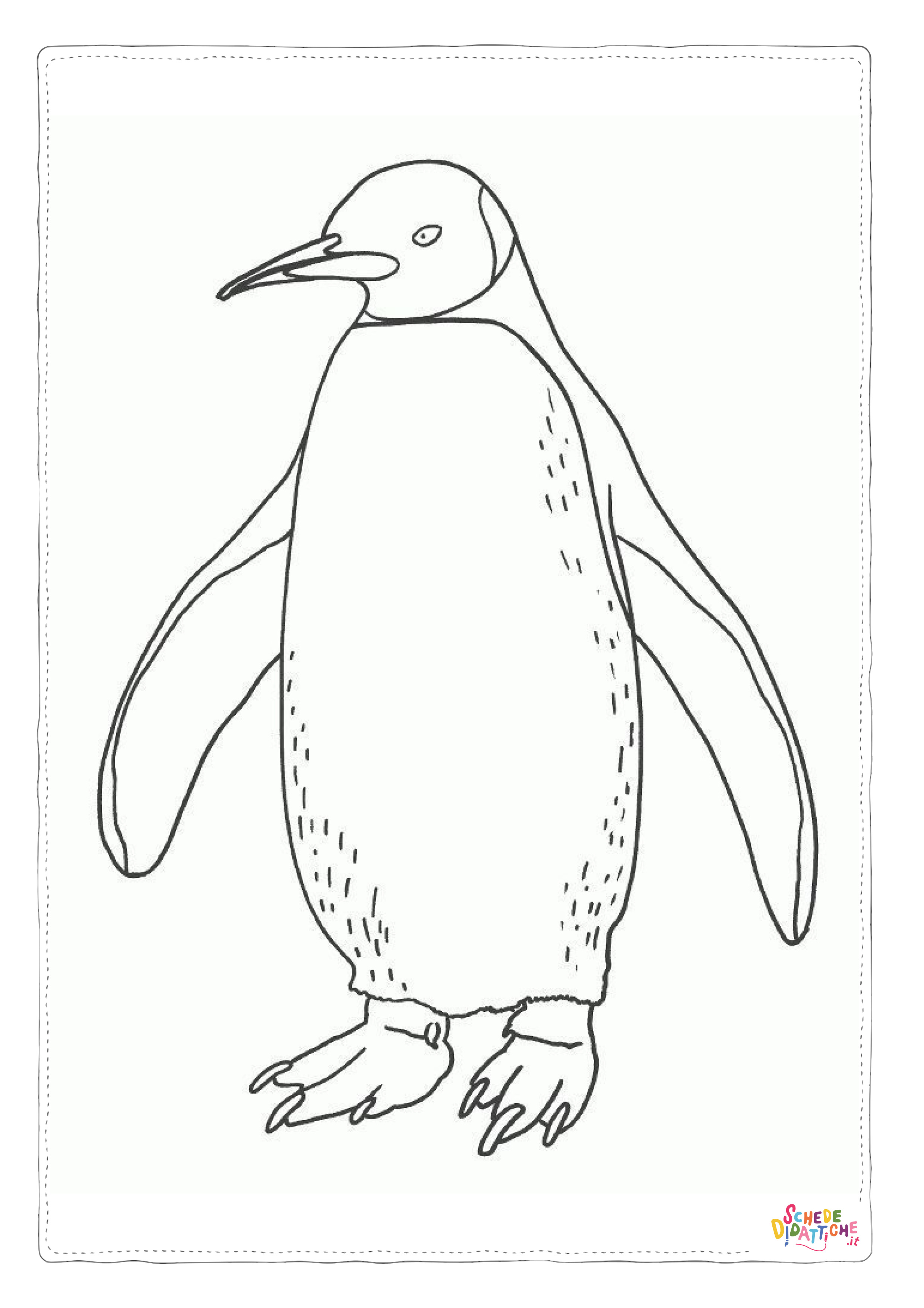 Disegno di pinguino da stampare e colorare 57