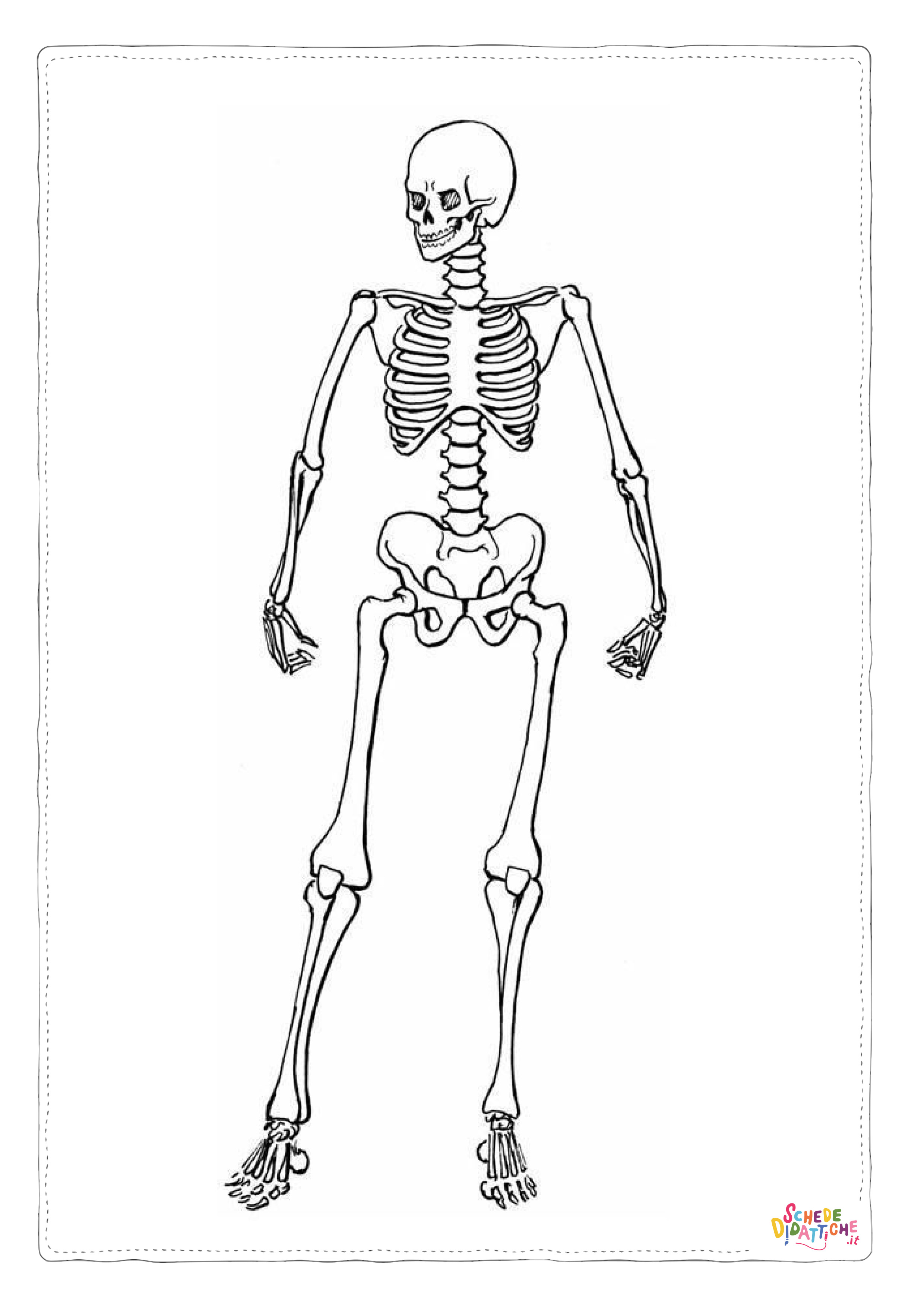 Disegno di parti del corpo da stampare e colorare 20