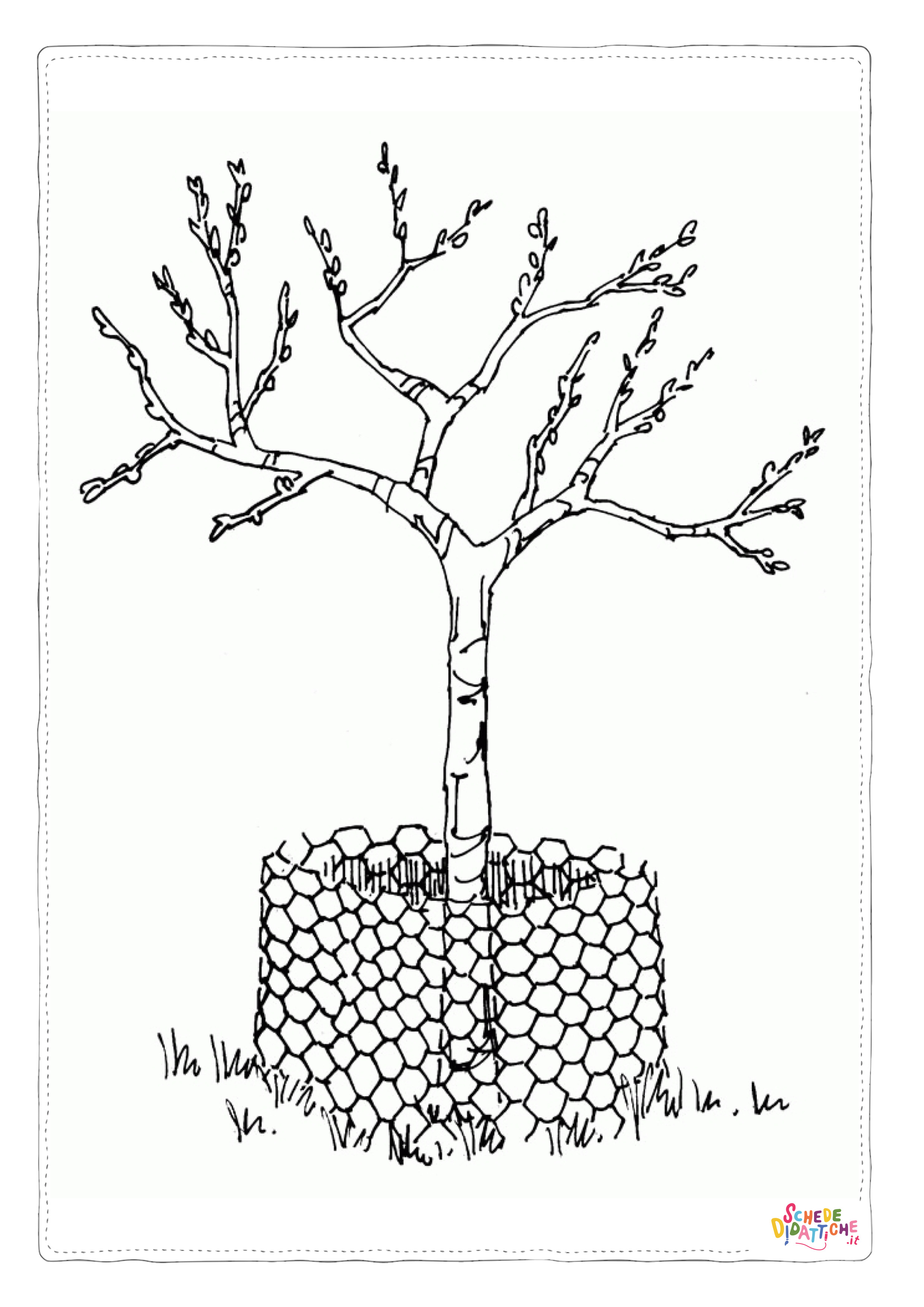 Disegno "Disegno di albero da stampare e colorare 18" Disegno di albero da stampare e colorare 18