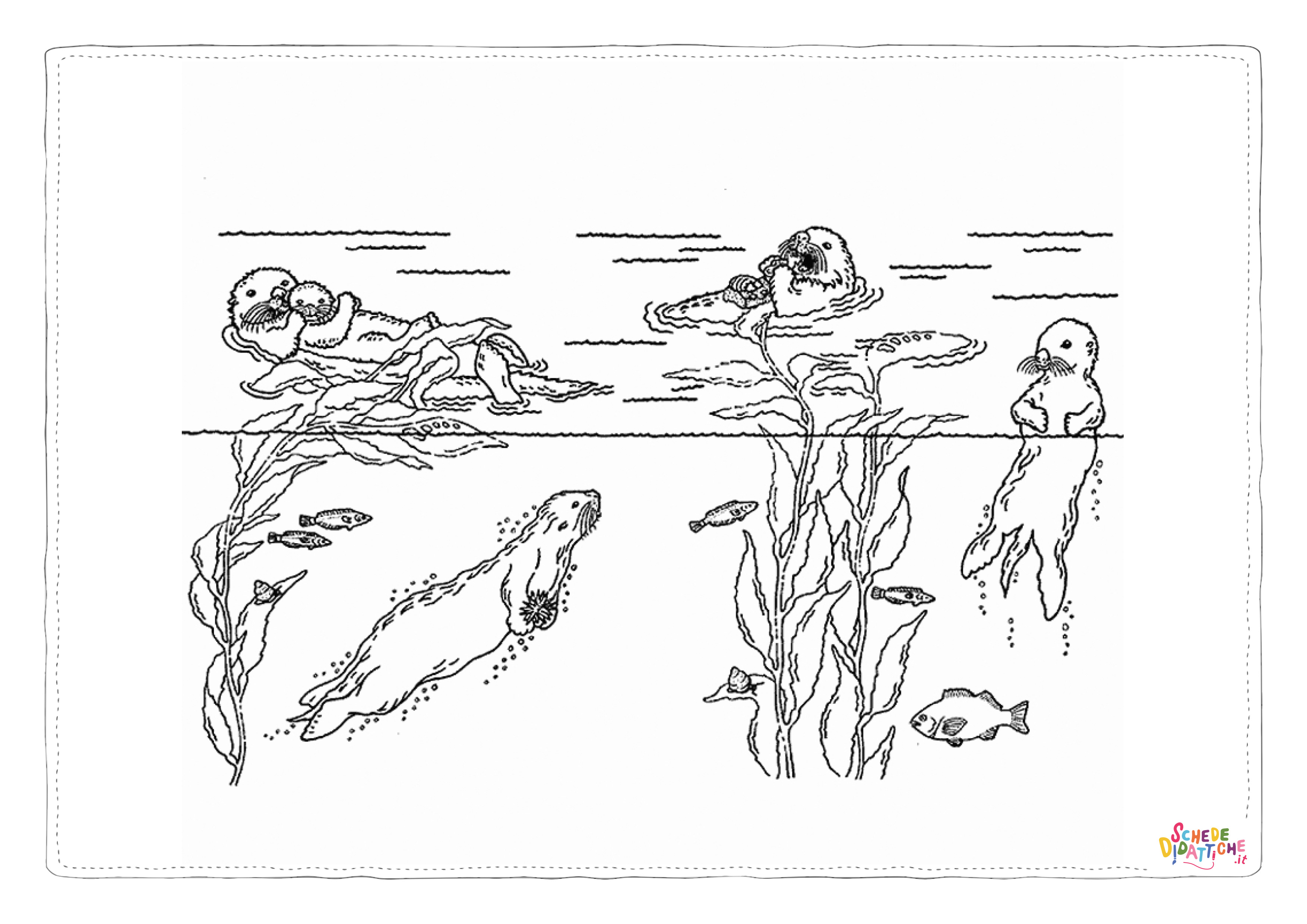 Disegno di lontra da stampare e colorare 21