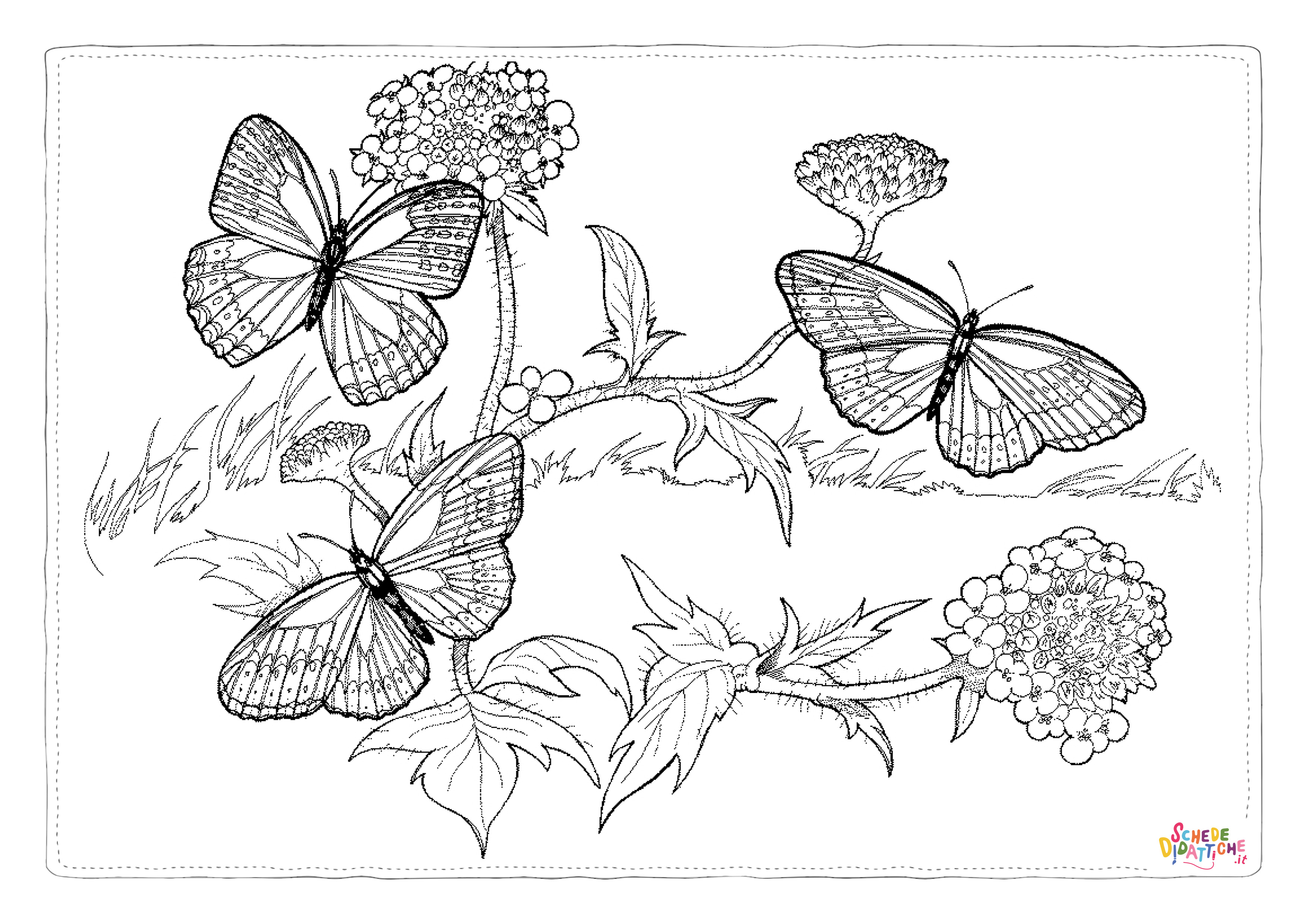 Disegno "Disegno di farfalla da stampare e colorare 157" Disegno di farfalla da stampare e colorare 157
