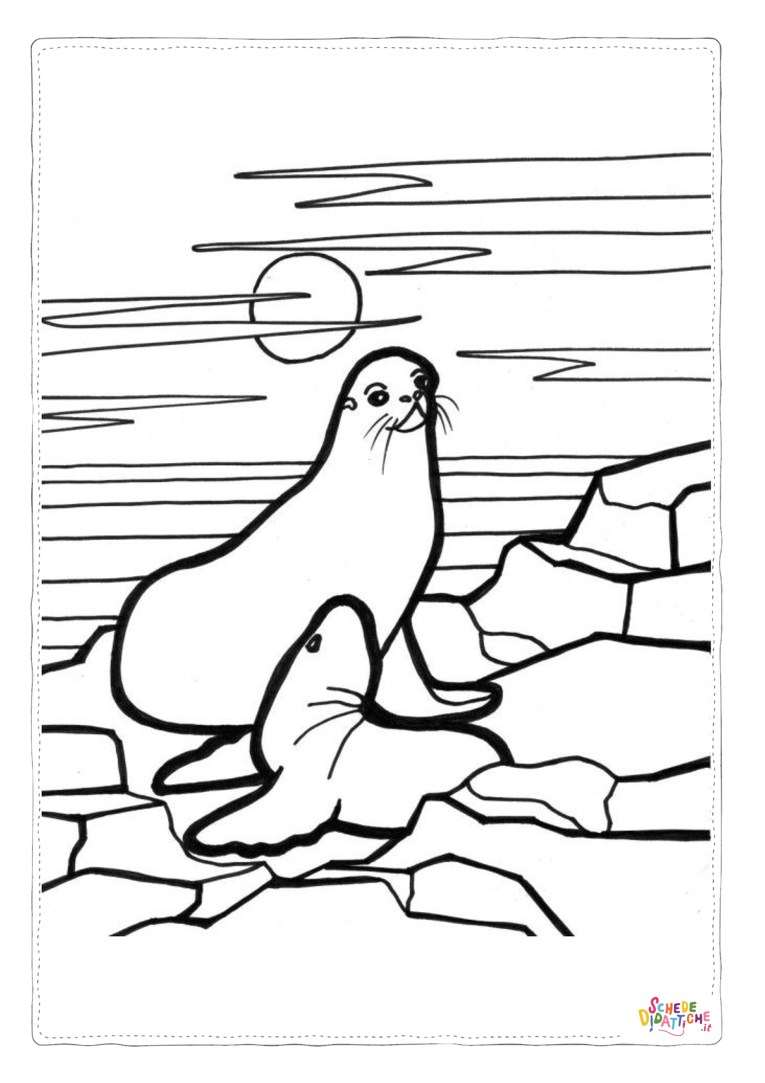 Disegno "Disegno di foca da stampare e colorare 20" Disegno di foca da stampare e colorare 20