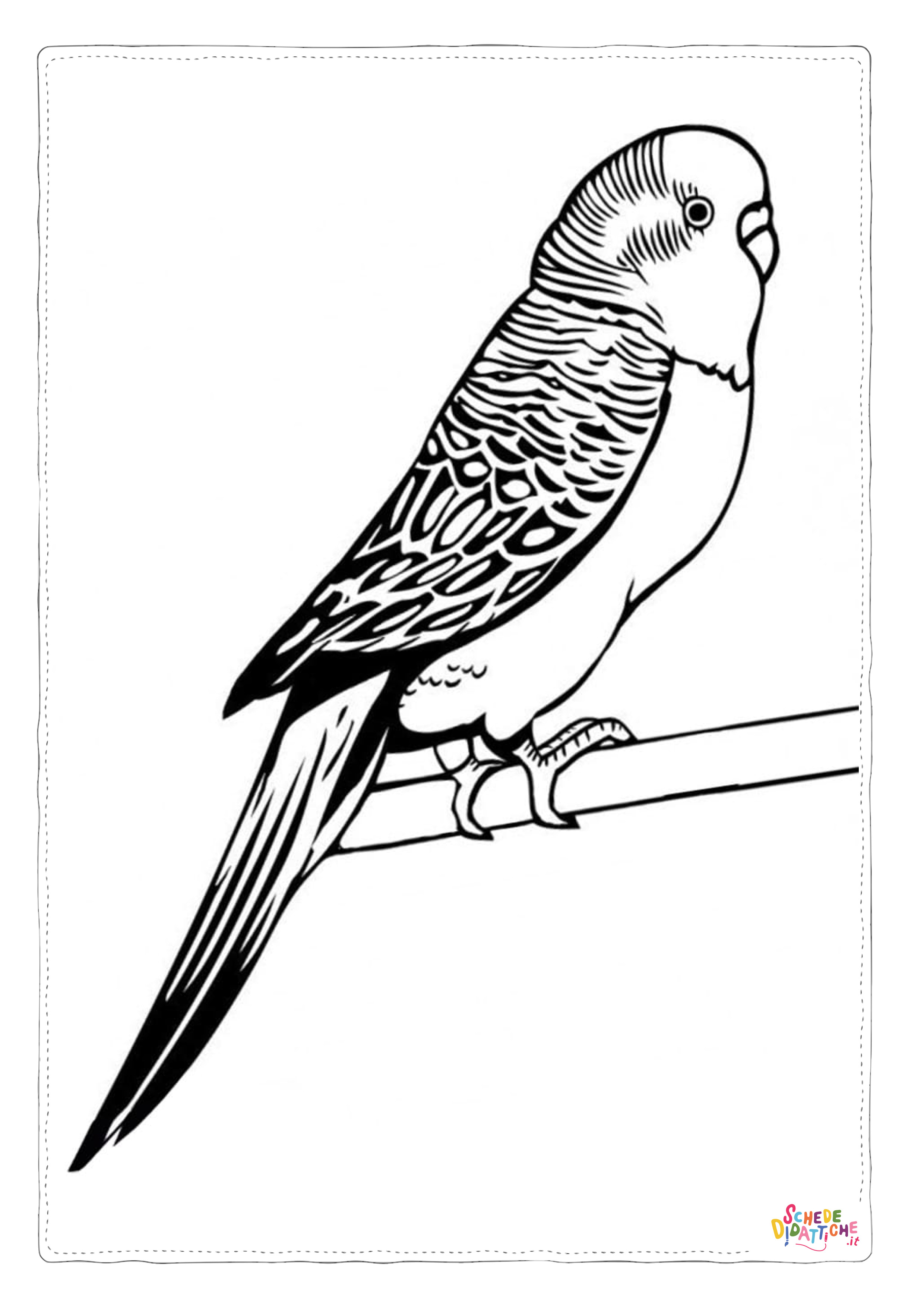 Disegno di pappagallo da stampare e colorare 77