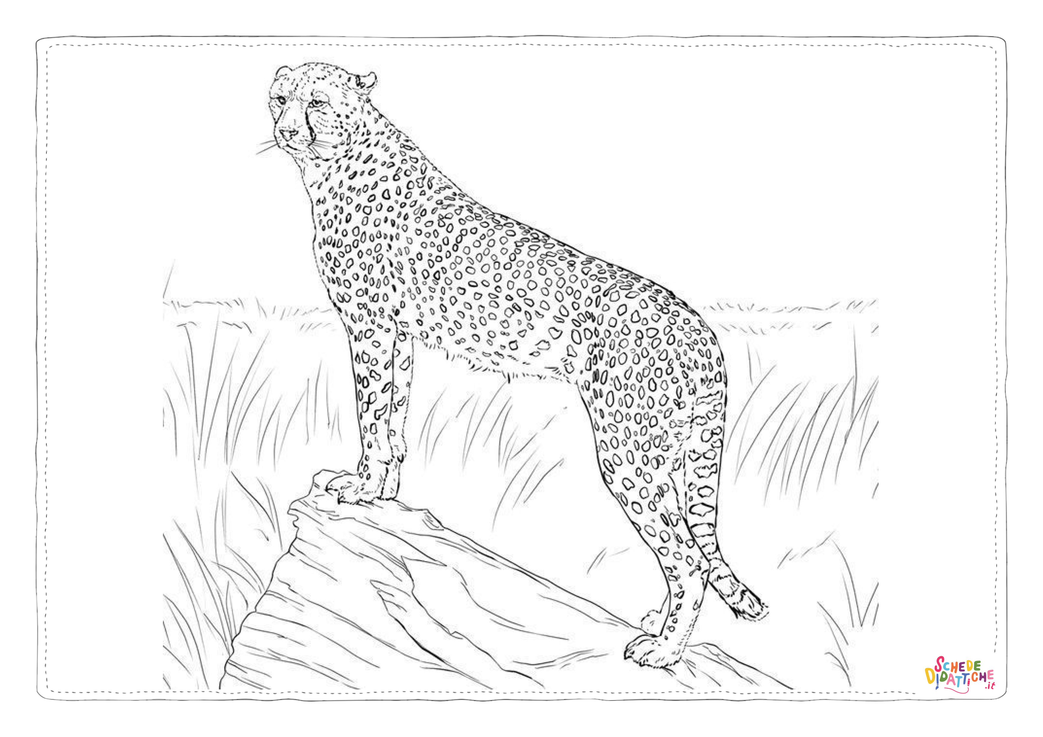Disegno "Disegno di leopardo da stampare e colorare 61" Disegno di leopardo da stampare e colorare 61