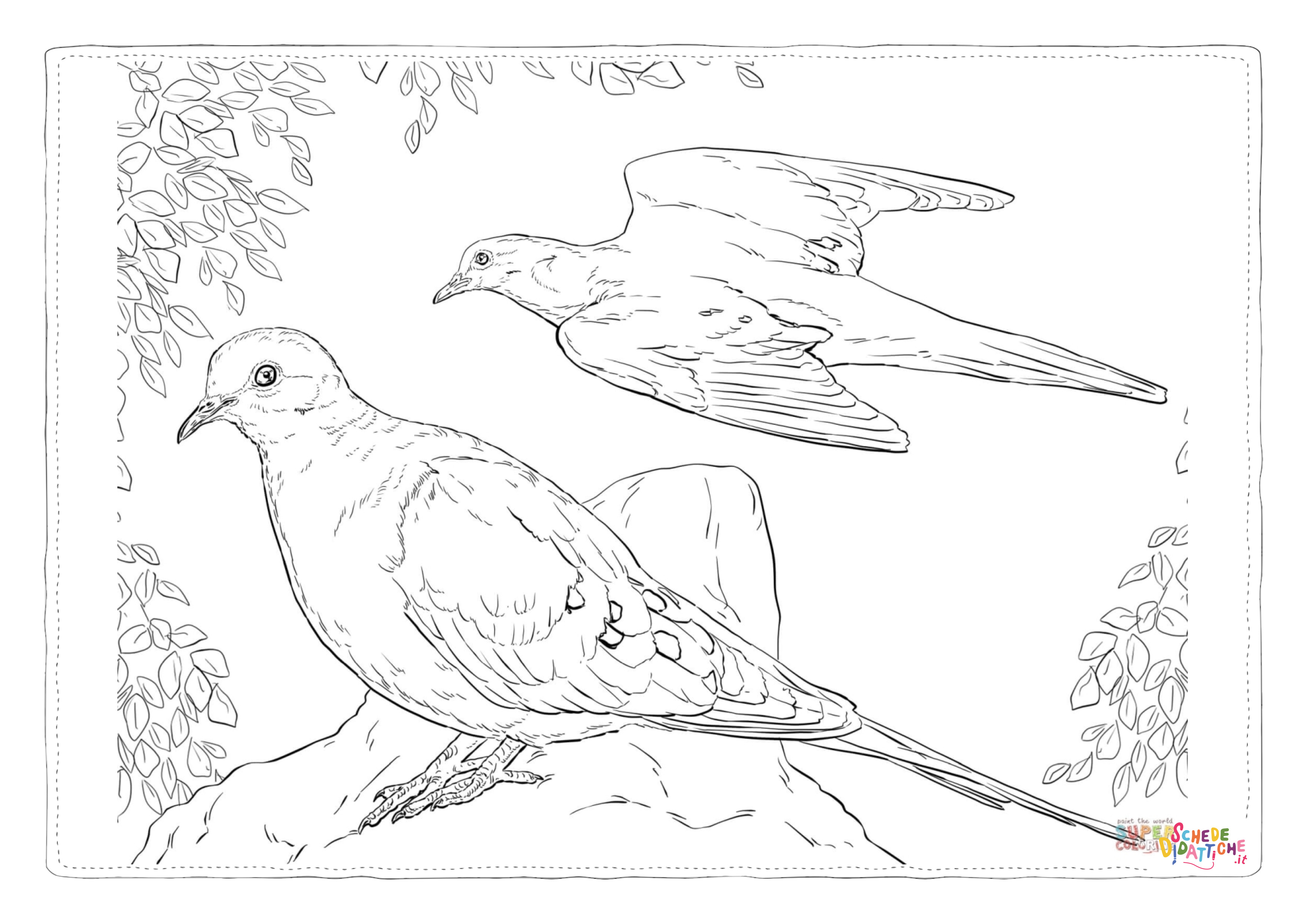 Disegno di colomba da stampare e colorare 47