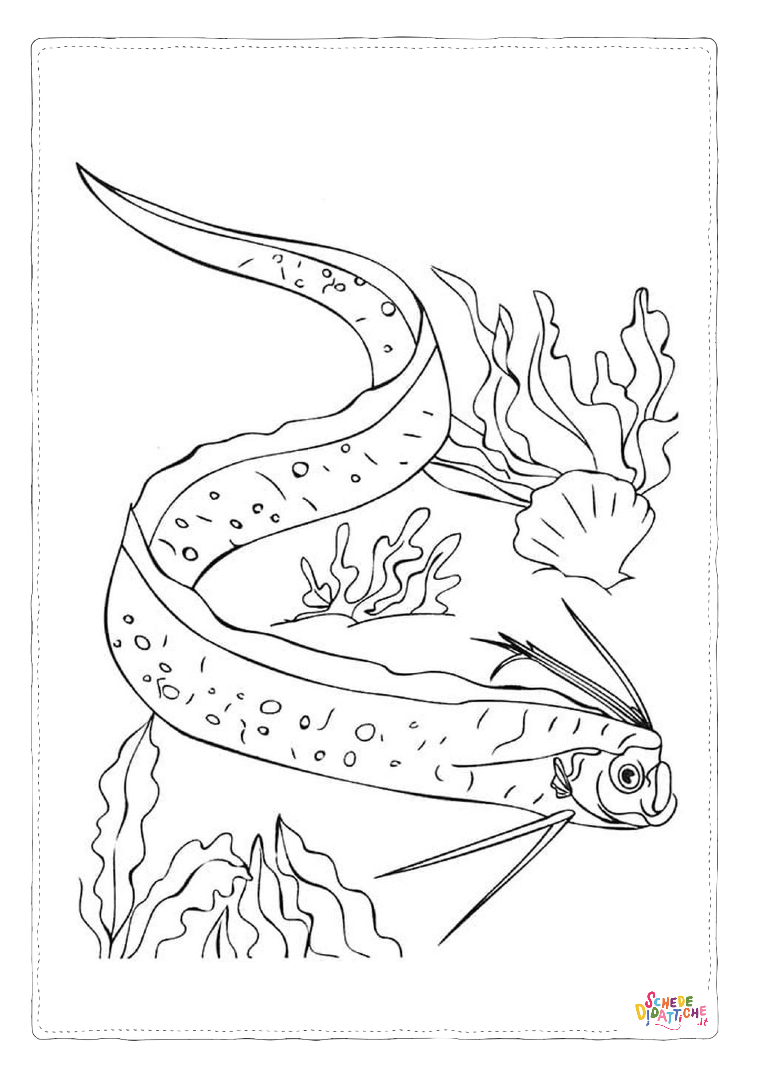 Disegno "Disegno di murena da stampare e colorare" Disegno di murena da stampare e colorare