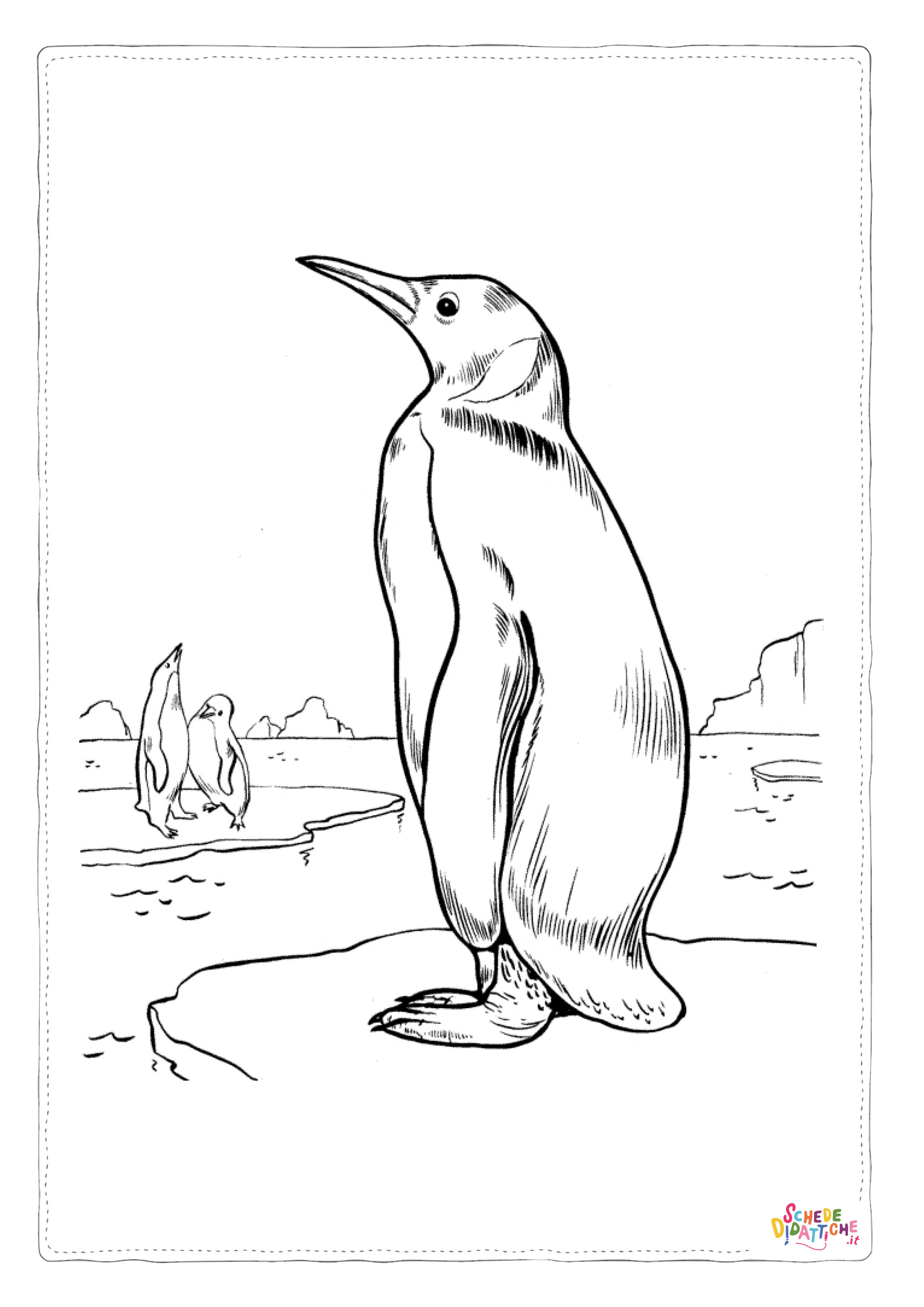 Disegno di pinguino da stampare e colorare 46