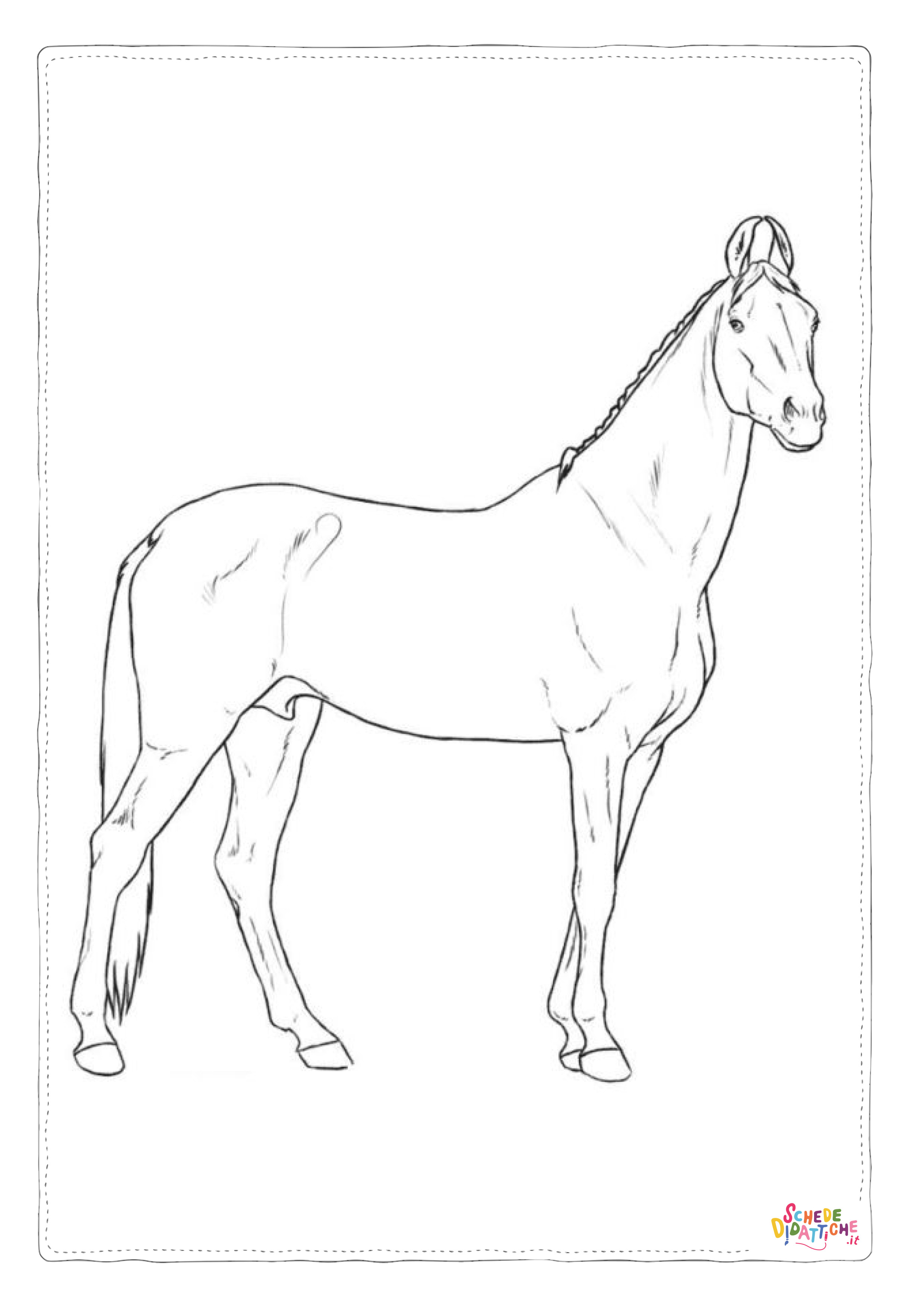 Disegno "Disegno di cavallo da stampare e colorare 109" Disegno di cavallo da stampare e colorare 109
