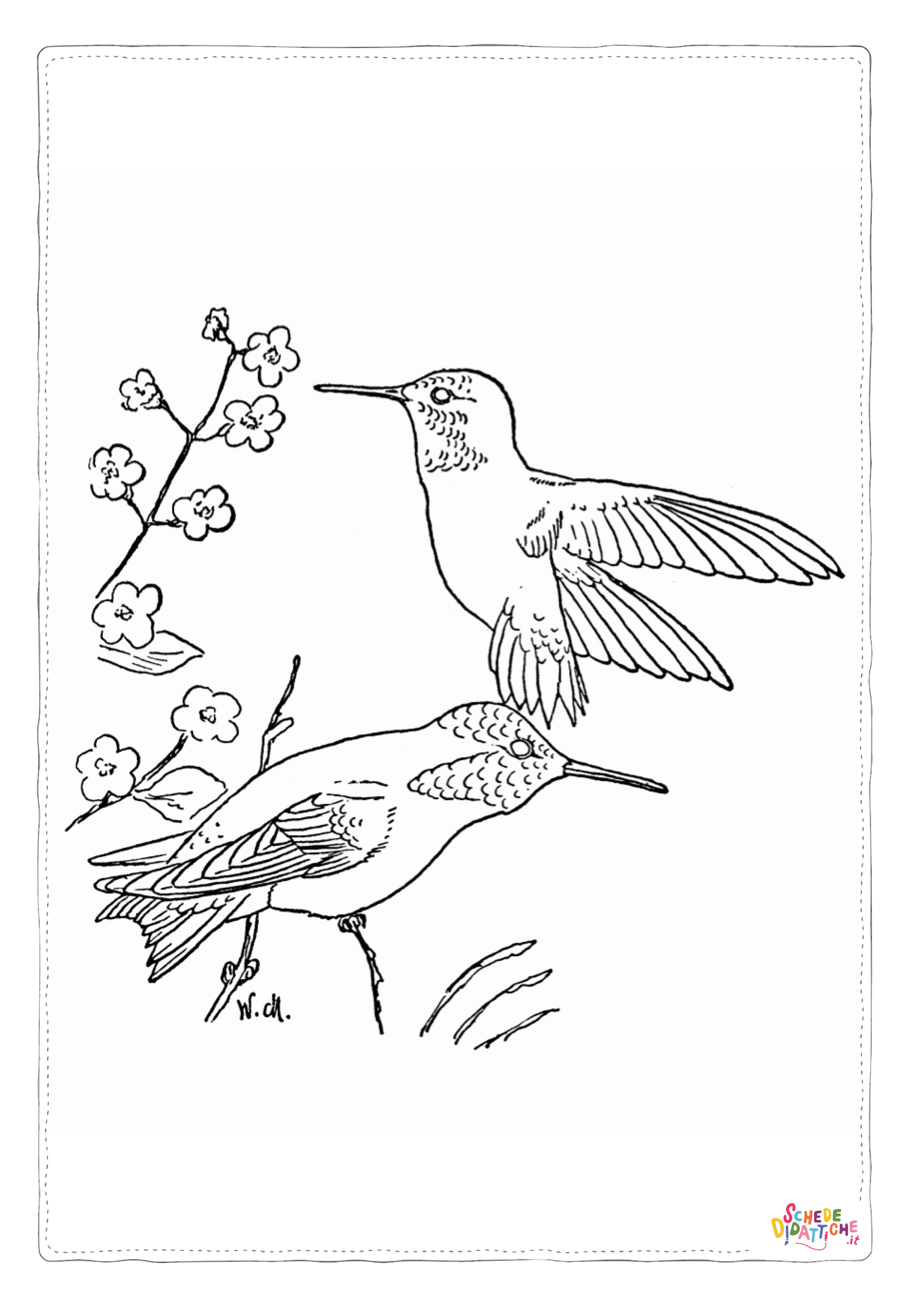 Disegno "Disegno di uccello da stampare e colorare 102" Disegno di uccello da stampare e colorare 102