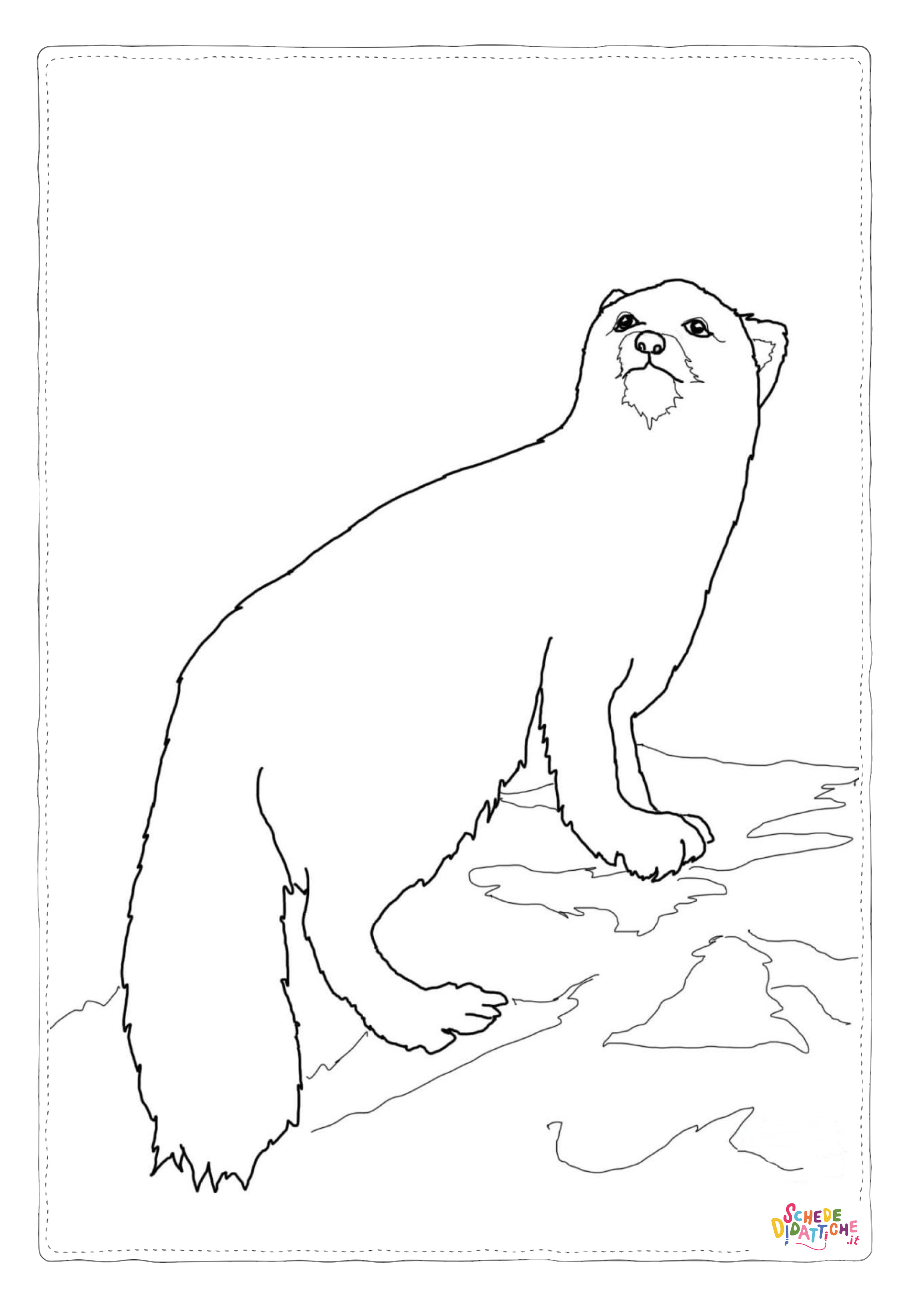 Disegno "Disegno di lontra da stampare e colorare 7" Disegno di lontra da stampare e colorare 7