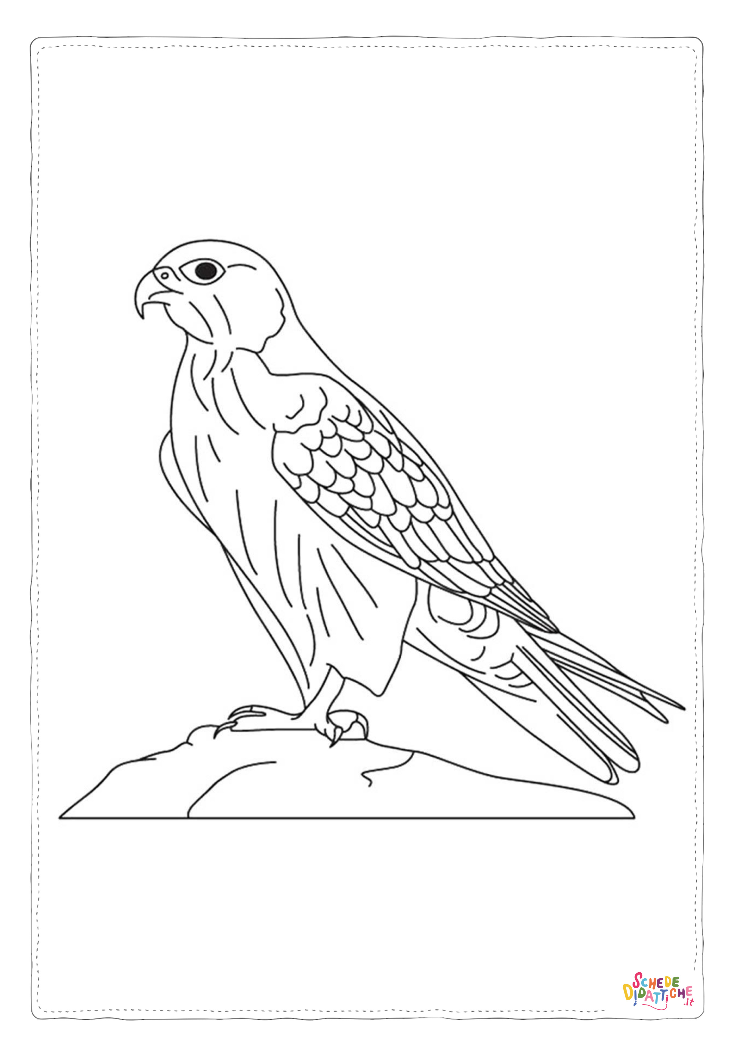 Disegno di falco da stampare e colorare 3