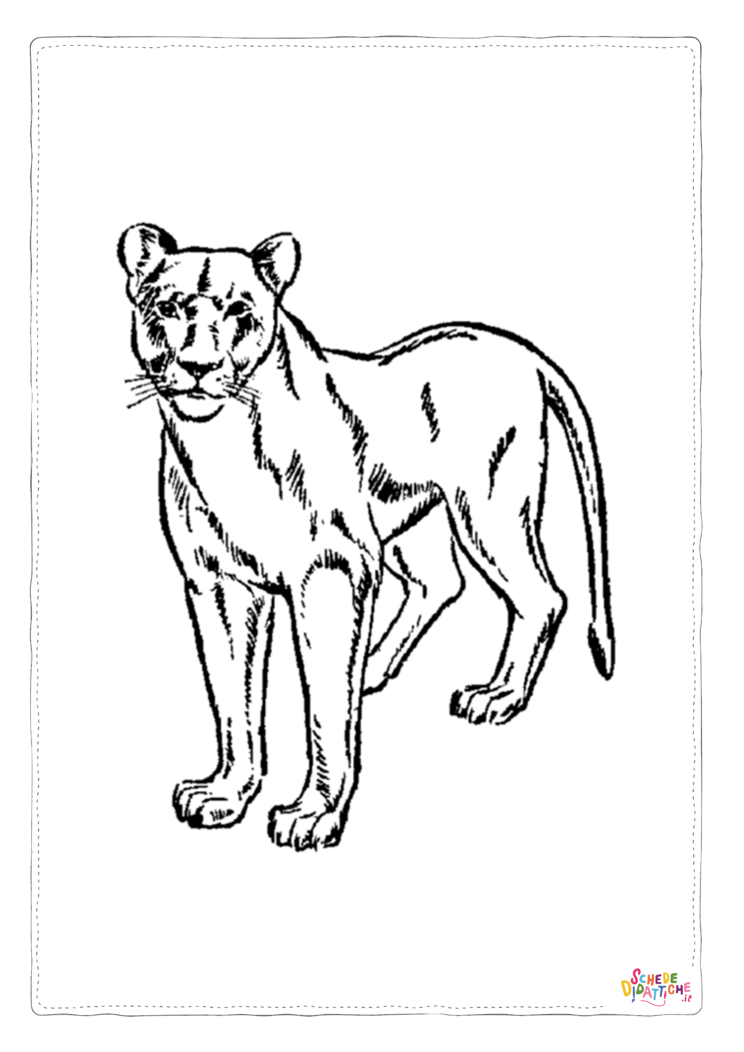 Disegno "Disegno di leone da stampare e colorare 39" Disegno di leone da stampare e colorare 39