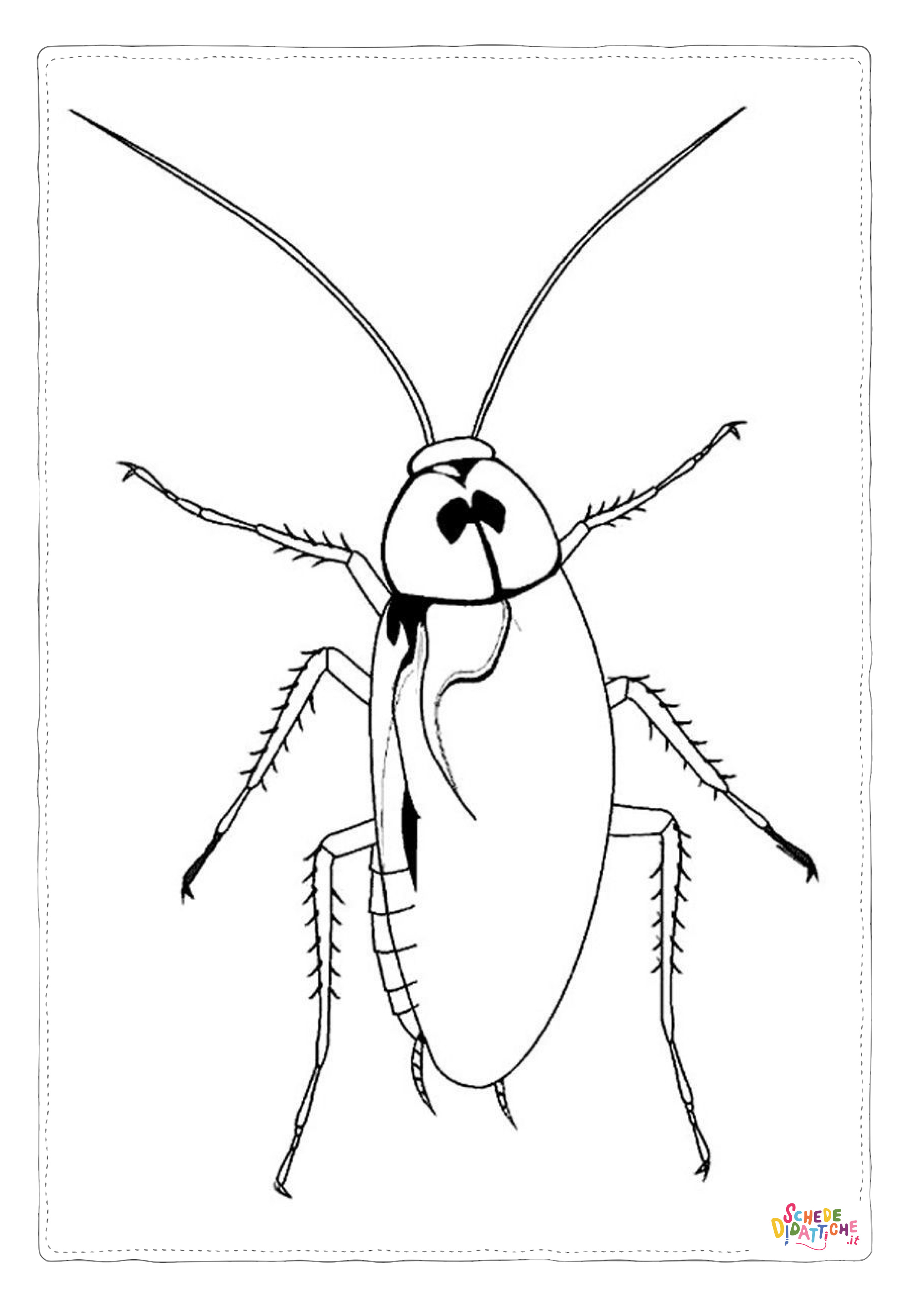 Disegno "Disegno di scarafaggio da stampare e colorare 7" Disegno di scarafaggio da stampare e colorare 7