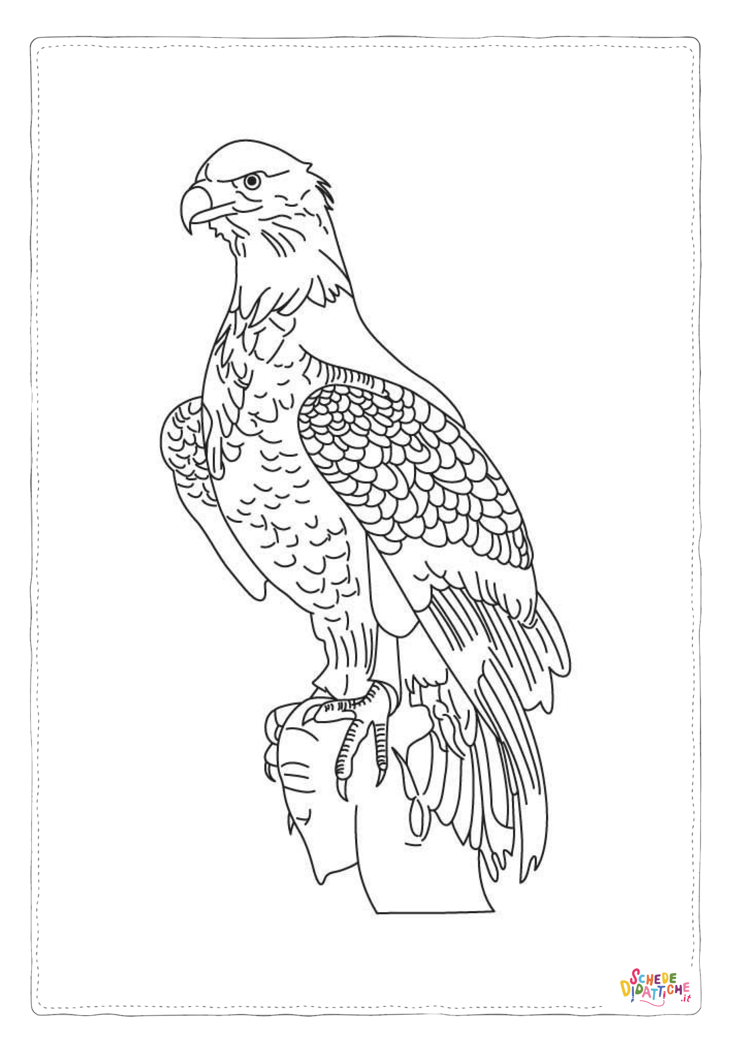 Disegno "Disegno di aquila da stampare e colorare 29" Disegno di aquila da stampare e colorare 29