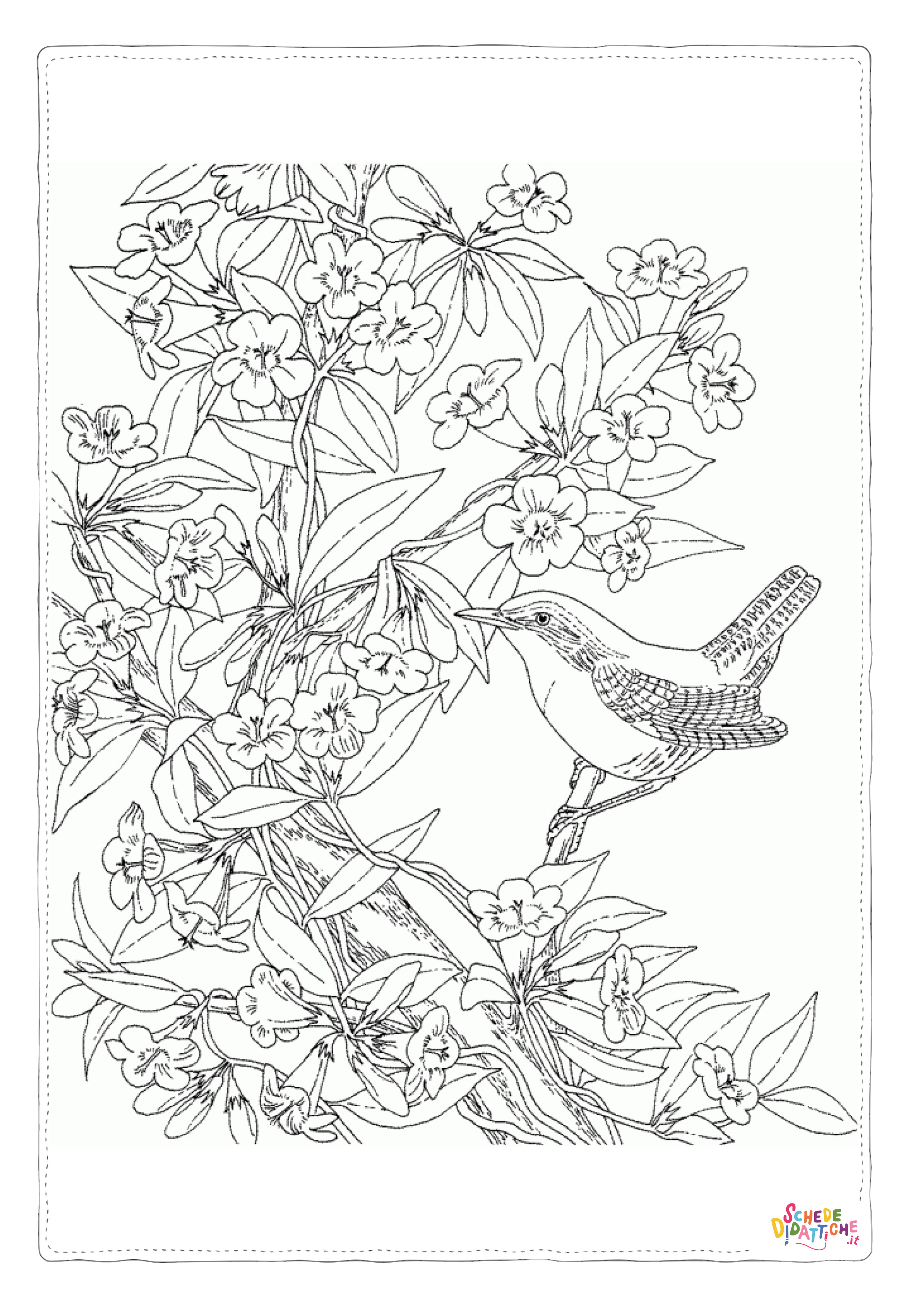 Disegno "Disegno di passero da stampare e colorare 85" Disegno di passero da stampare e colorare 85
