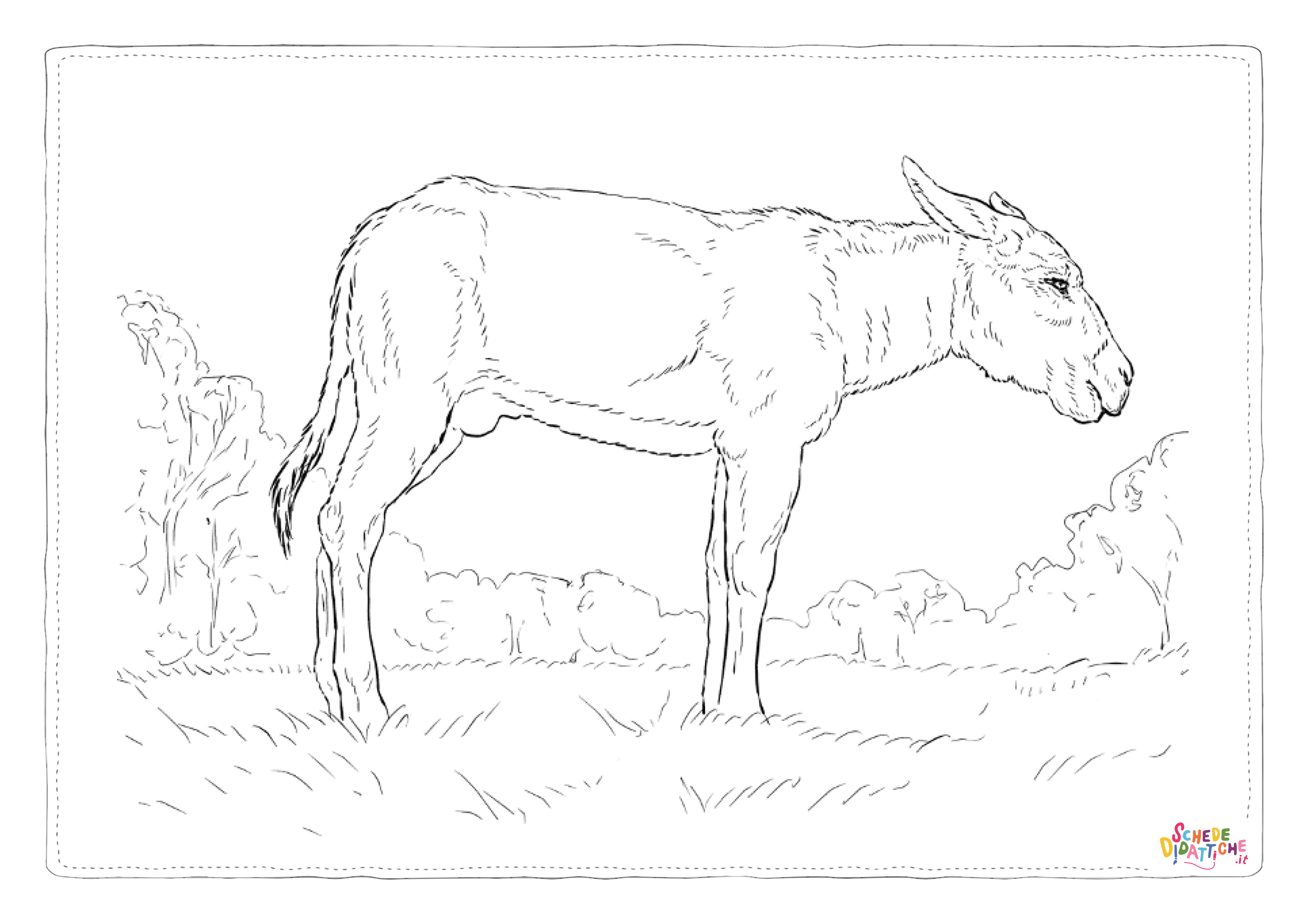Disegno "Disegno di asino da stampare e colorare 6" Disegno di asino da stampare e colorare 6