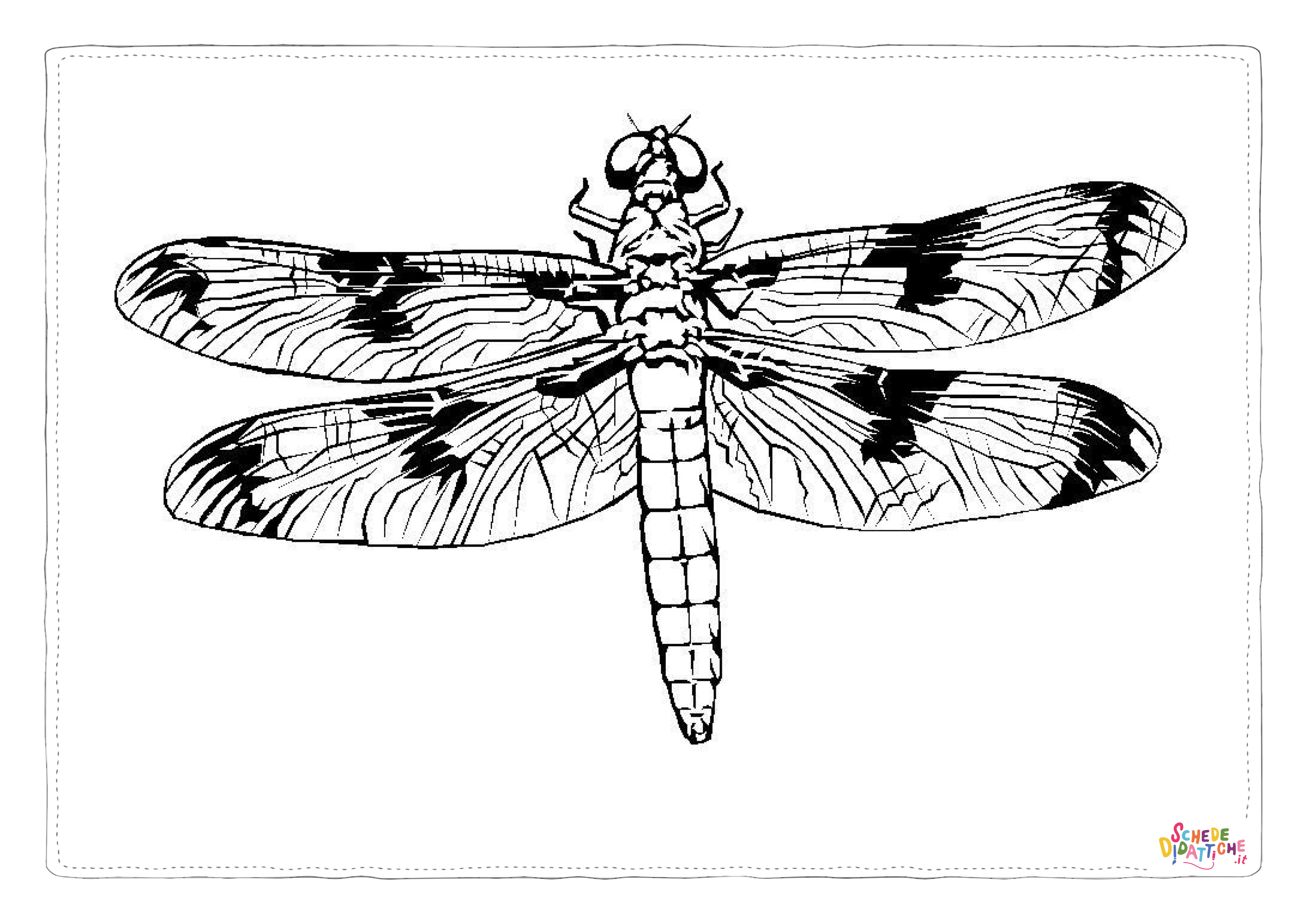 Disegno di libellula da stampare e colorare 48