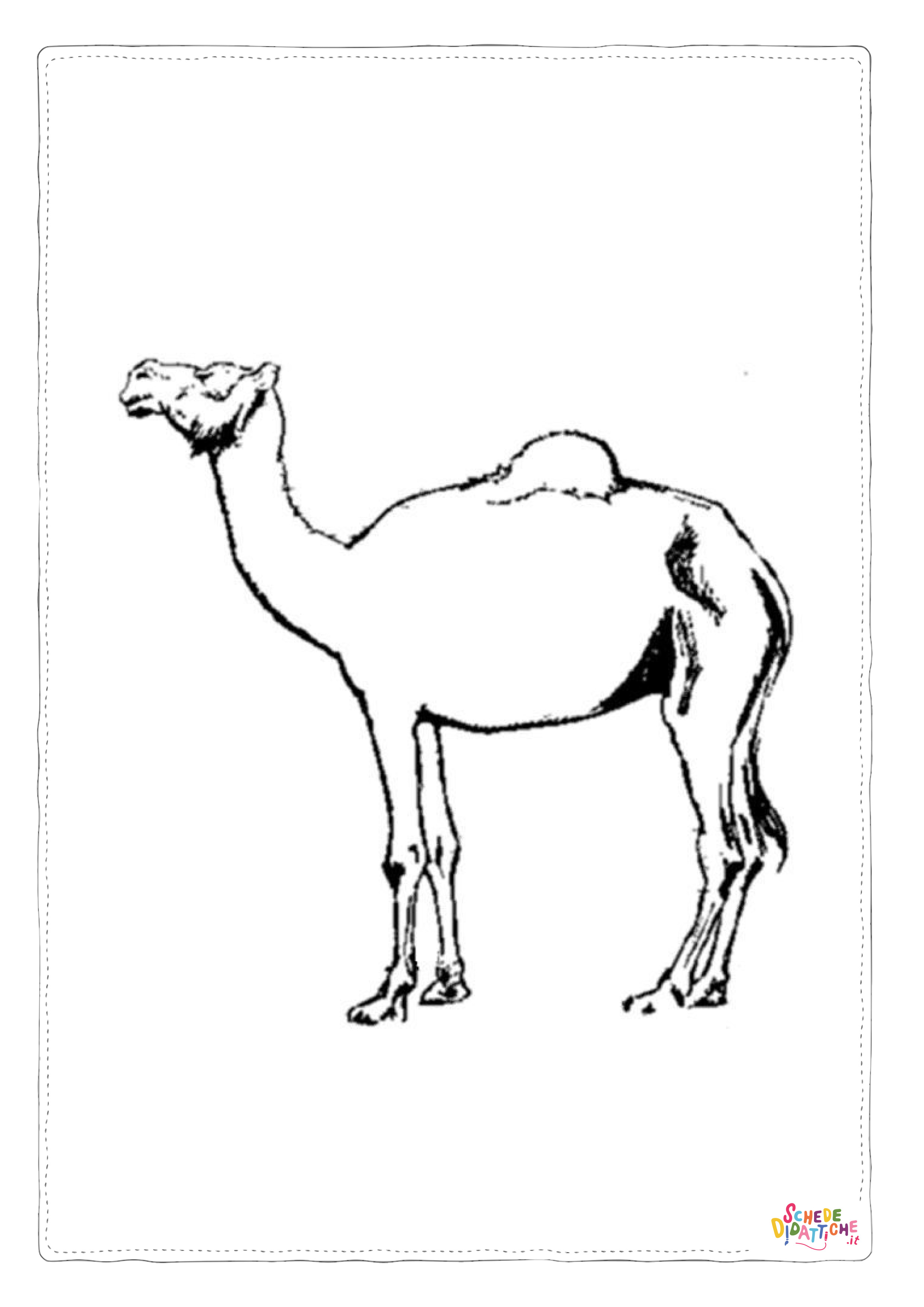 Disegno "Disegno di dromedario da stampare e colorare 5" Disegno di dromedario da stampare e colorare 5